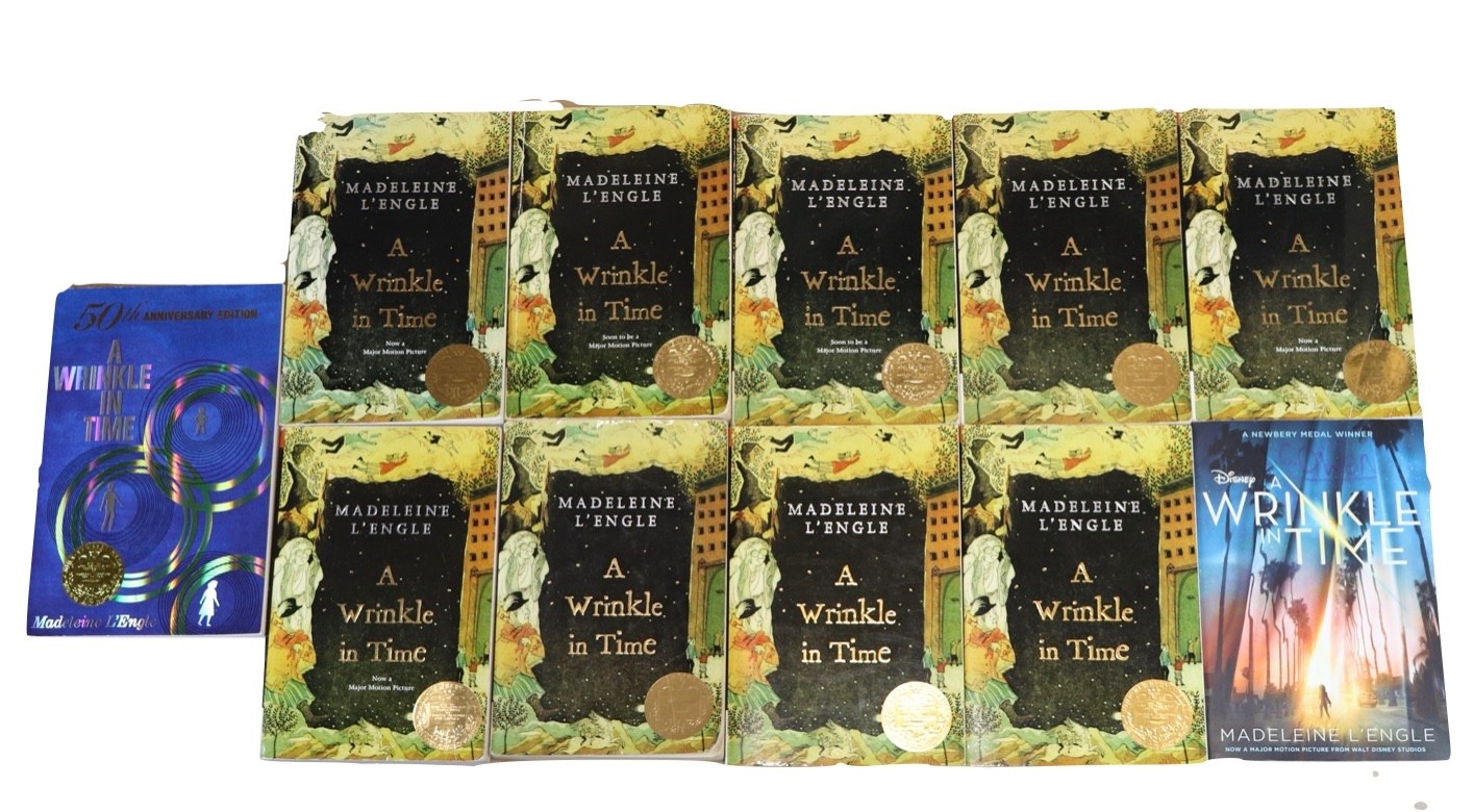 Lot of 11 A Wrinkle In Time by Madeleine L&rsquo;Engle GUIDED READING Teachers Set