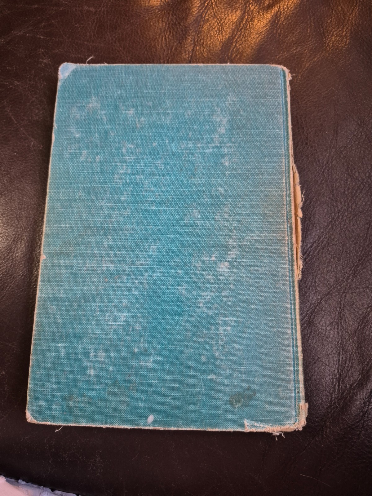 The Story of the Ice Age by Rose Wyler and Gerald Ames