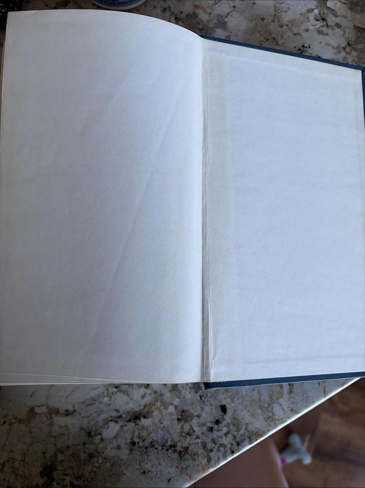 Vine&rsquo;s Expository Dictionary of Old and New Testament Words W.E. Vine Bible
