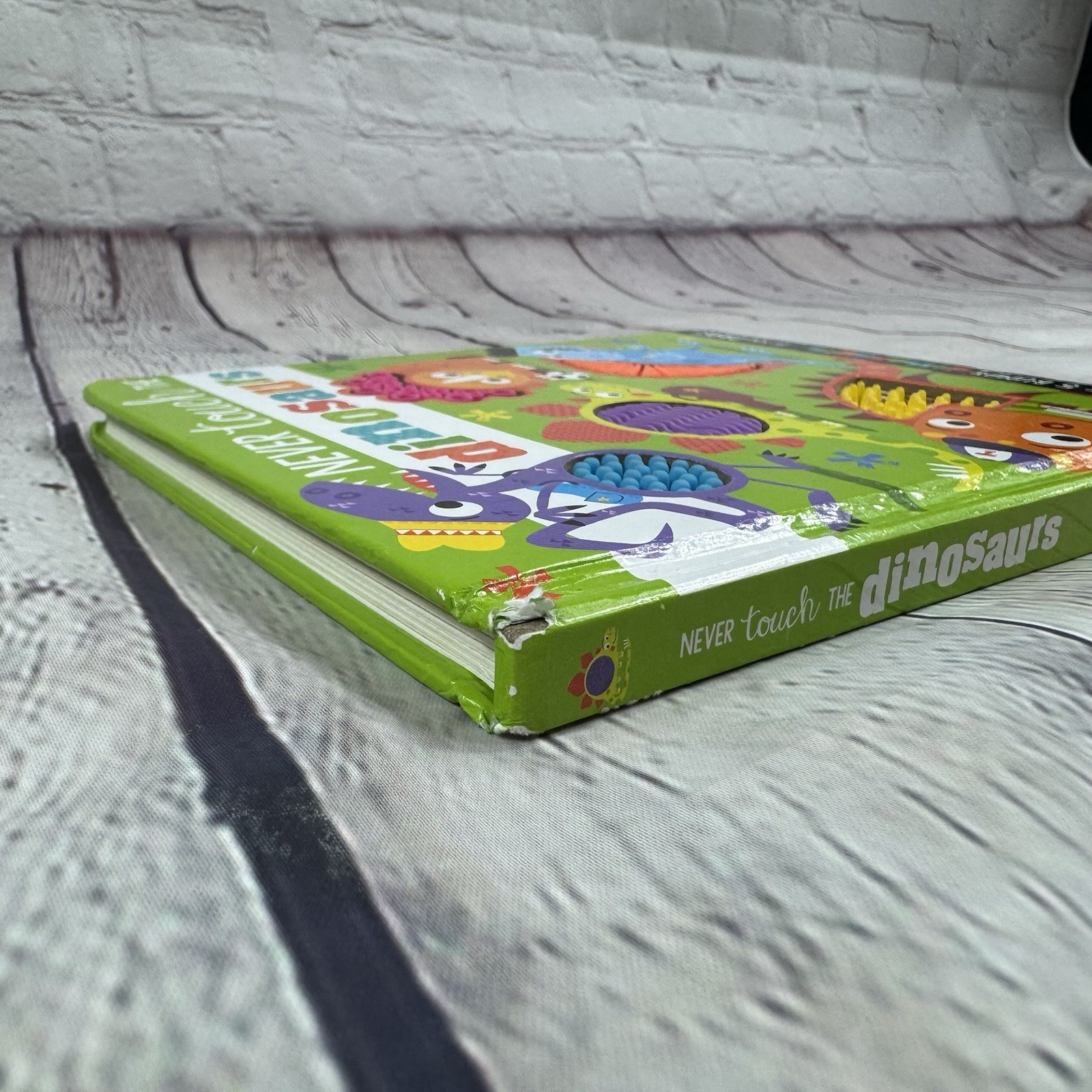 Never Touch the Dinosaurs by Greening Rosie Baby Kids Toddler Hard Board Book