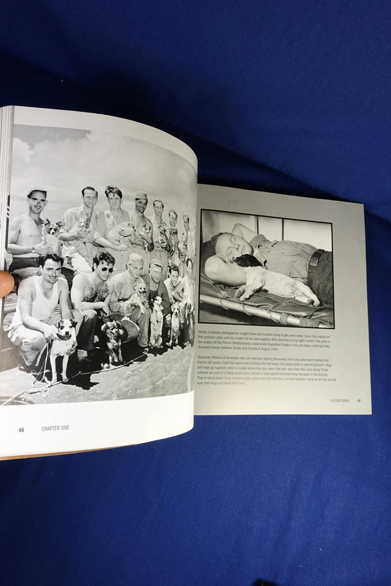 BUDDIES L Douglas Keeney WWII DOG PHOTO BOOK Heartwarming Photos GIs & Dogs WW2