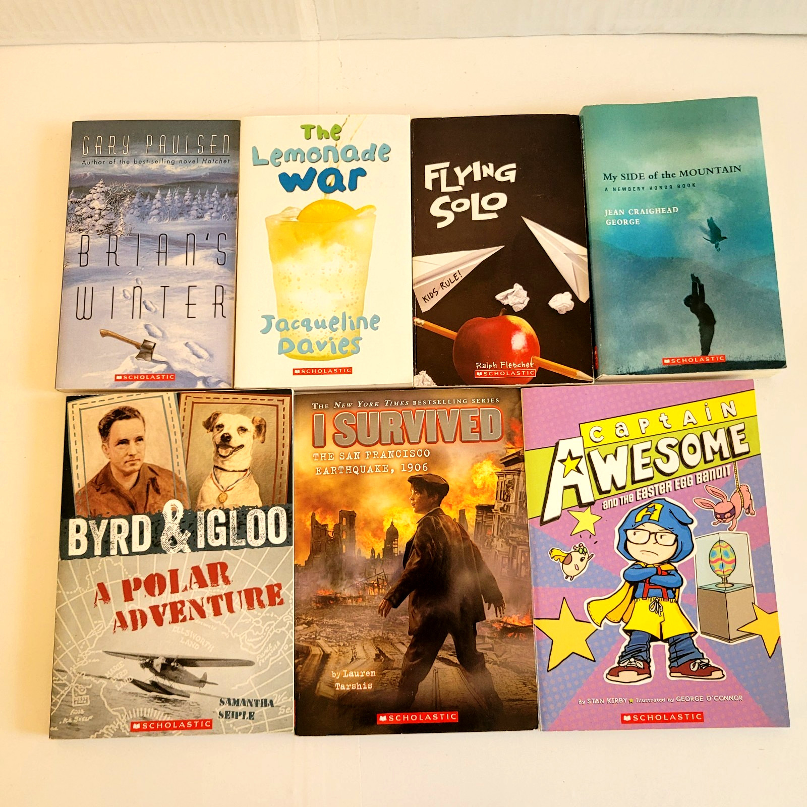 Boys 3rd/4th/5th/6th Grade Chapter Books Lot of 42 Homeschool PB Scholastic