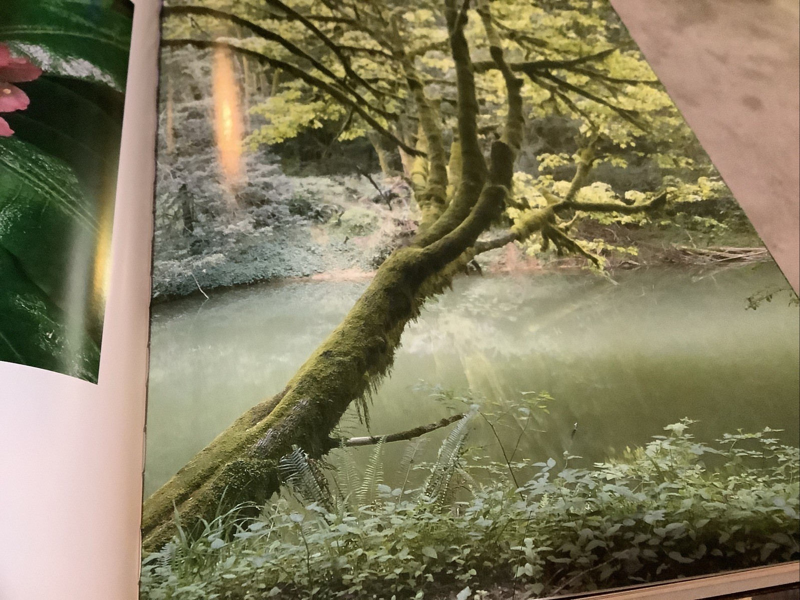 Oregon III (Book) Ray Atkeson, Text By Richard Ross, 1987, 18th printing VGUC.