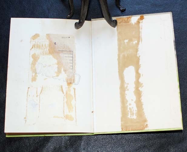 GRAYWINGS ~ Alice E Goudey ~ Ex Library ~ Charles Scribner&rsquo;s Sons ~ 1964 HC