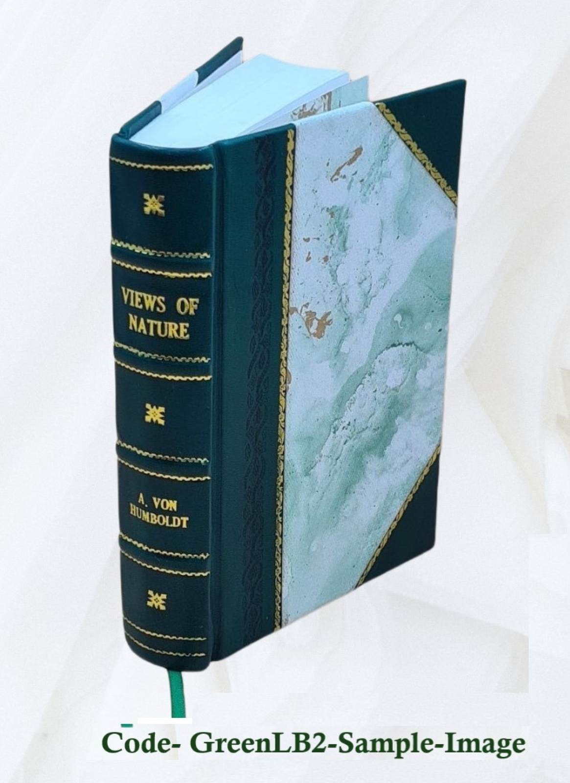 A general history of the pyrates from their first rise and settl [LEATHER BOUND]