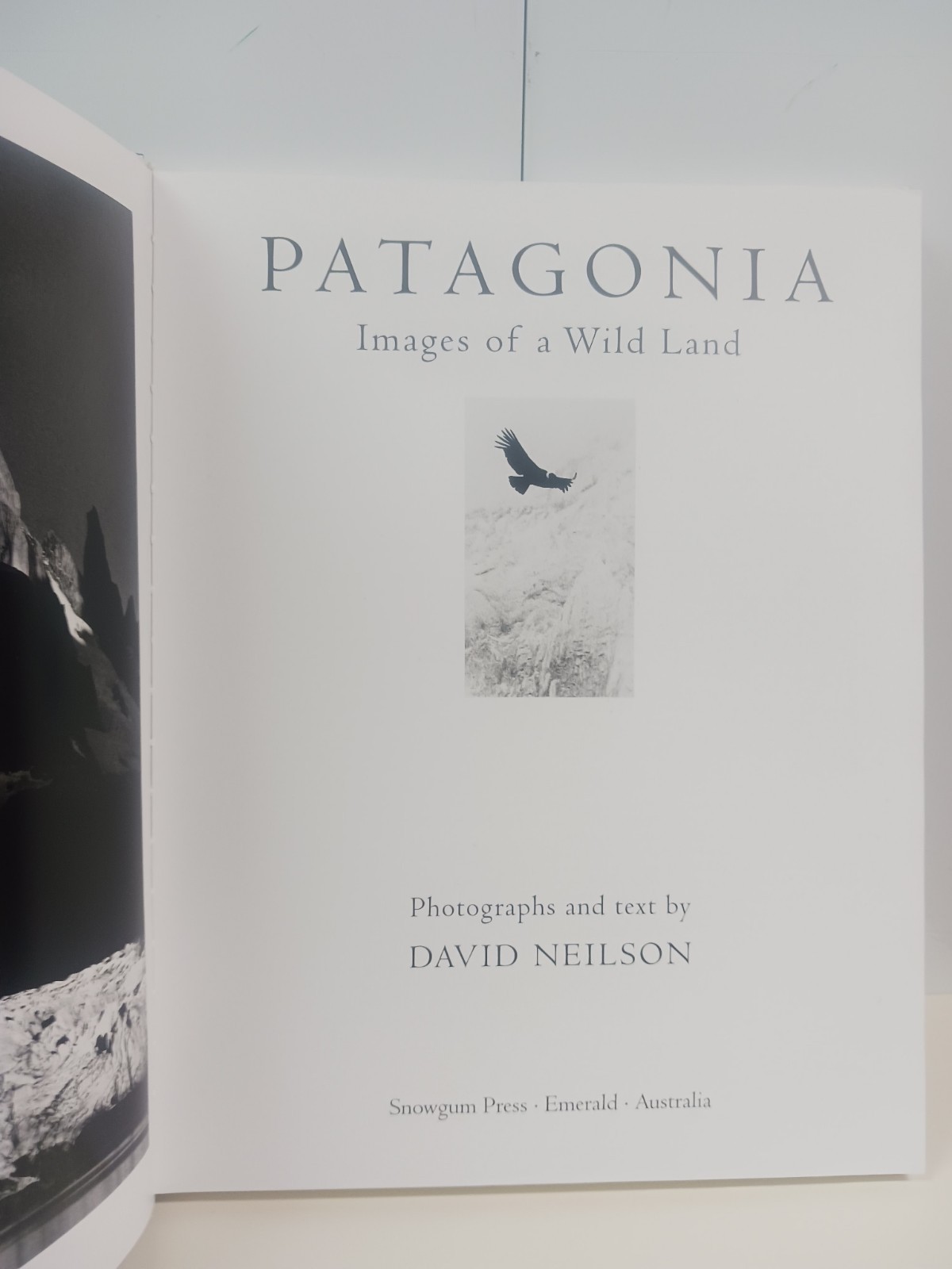 PATAGONIA: IMAGES OF A WILD LAND By David Neilson – Coffee Table Hardcover