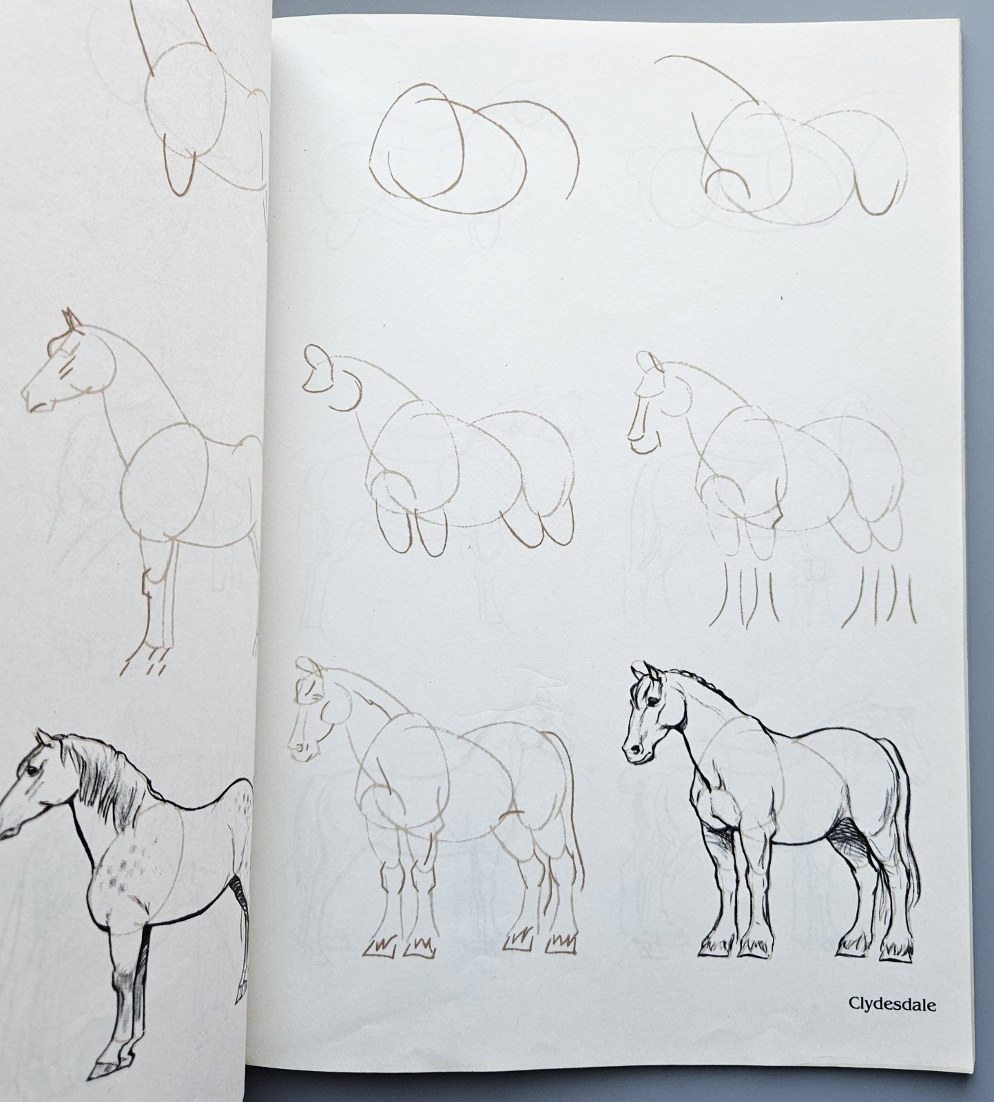 Draw 50 Animals Books Lot Lee J Ames Horses Cats Dogs Step-by-Step Drawing