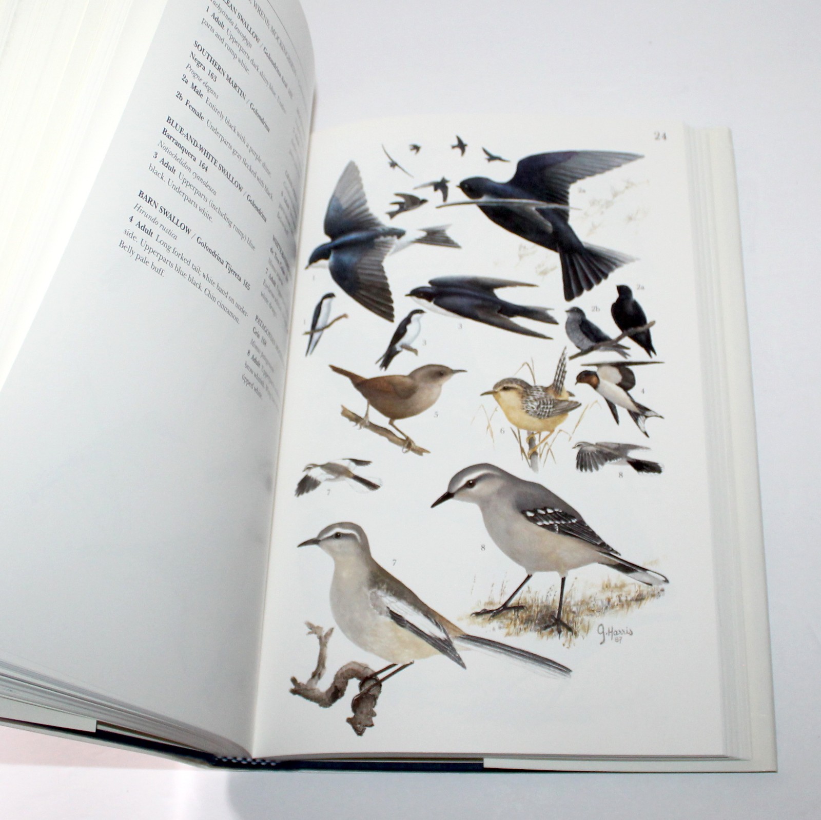 A Guide to the Birds and Mammals of Coastal Patagonia 1998 Graham Harris