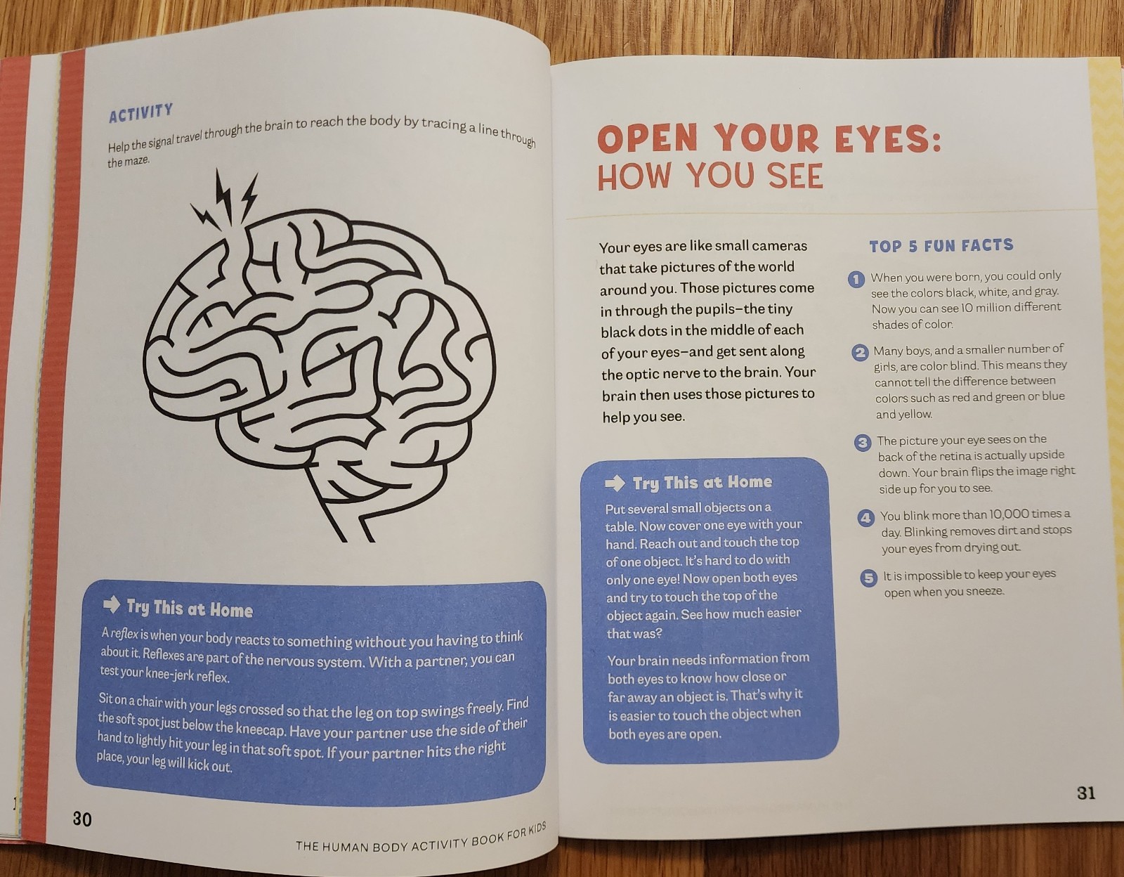 Human Body Activity Book for Kids: Hands-On Fun for Grades K-3 by Ph.D., Katie