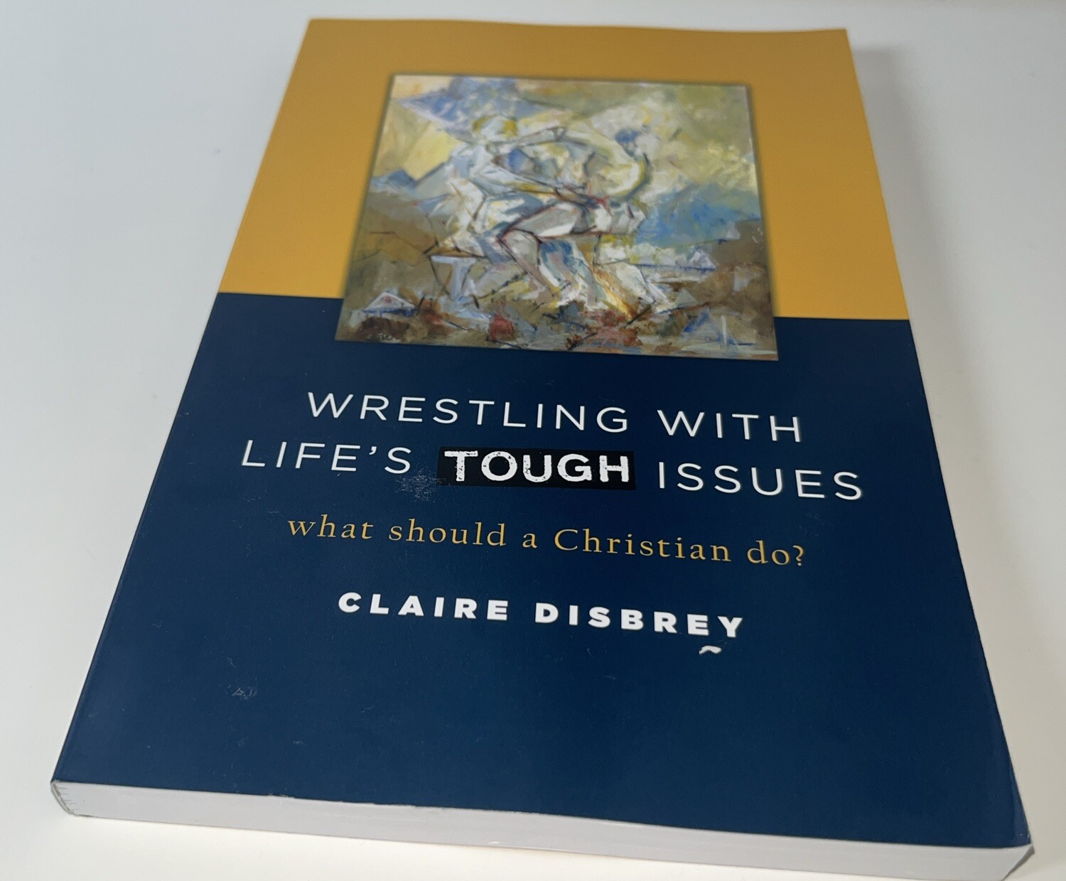 Wrestling with Life&rsquo;s Tough Issues : What Should a Christian Do? by Claire…