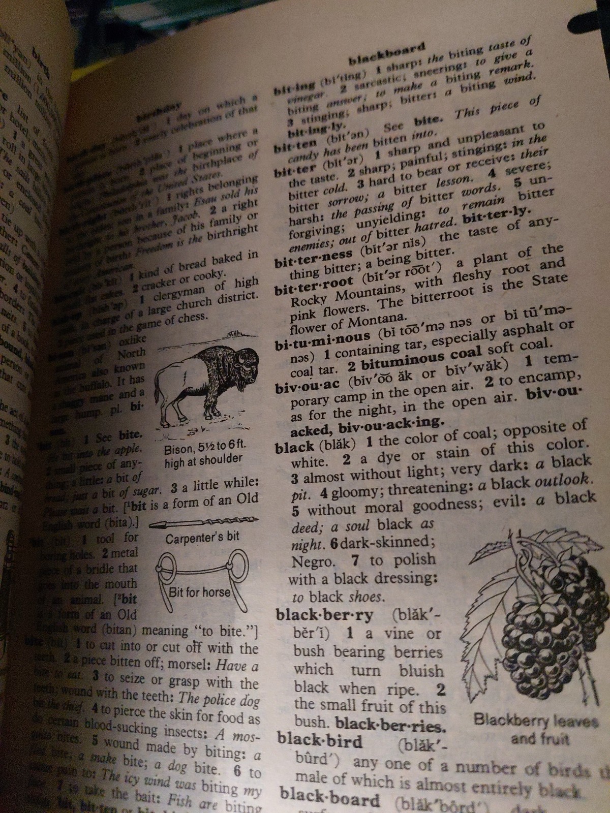 VINTAGE SCHOLASTIC DICTIONARY OF AMERICAN ENGLISH 1970&rsquo;s PAPERBACK 864 PAGES