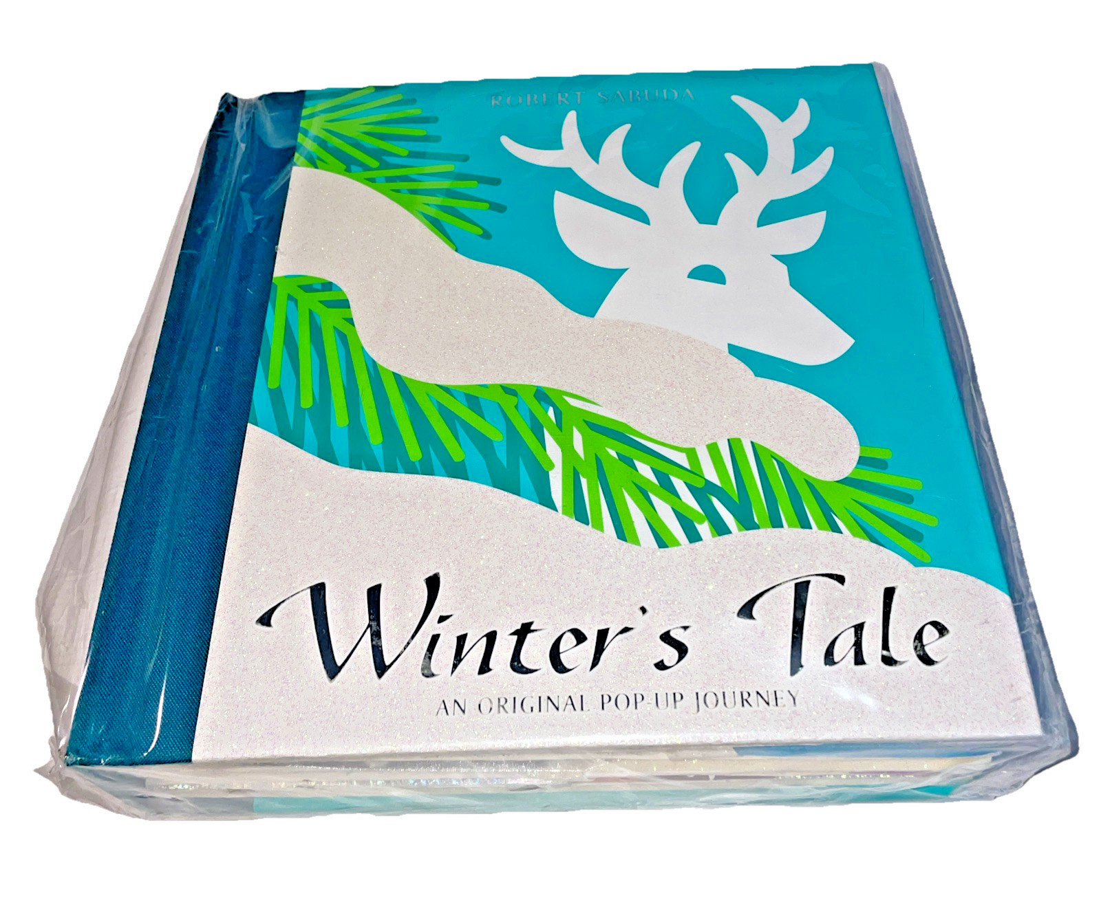 Winters Tale Pop Up Book Robert Sabuda First Edition 3D Glitter 2005 Classic SEE