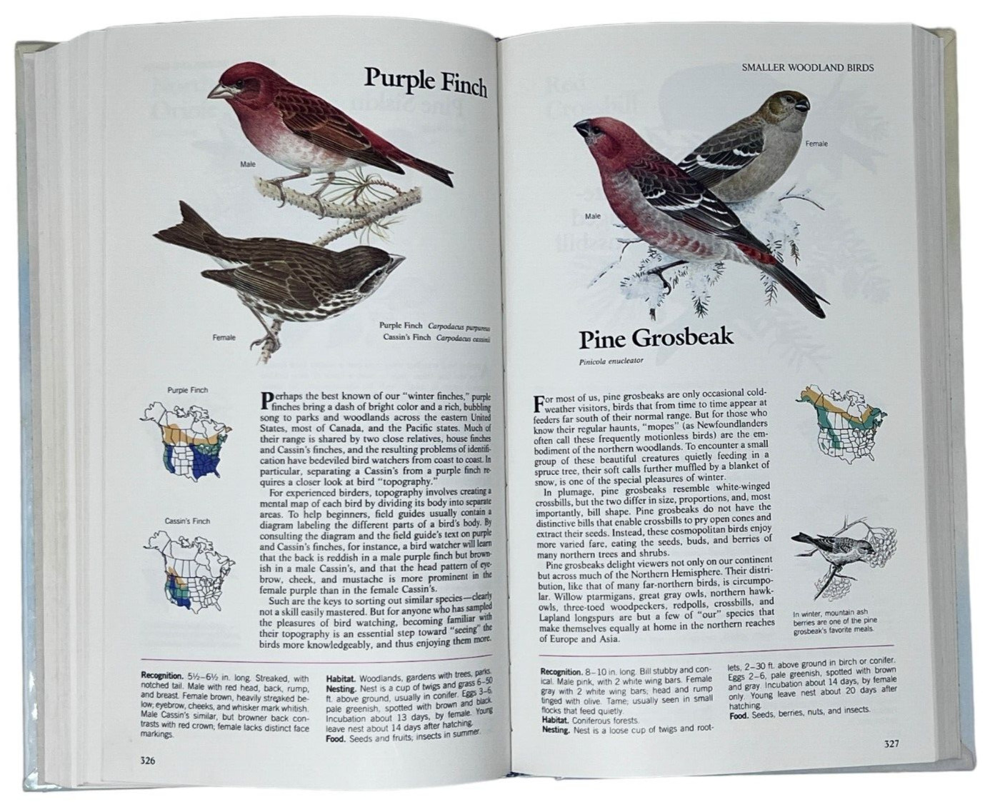 Reader&rsquo;s Digest Book of North American Birds 1990 600 Species 576 Pages Illos