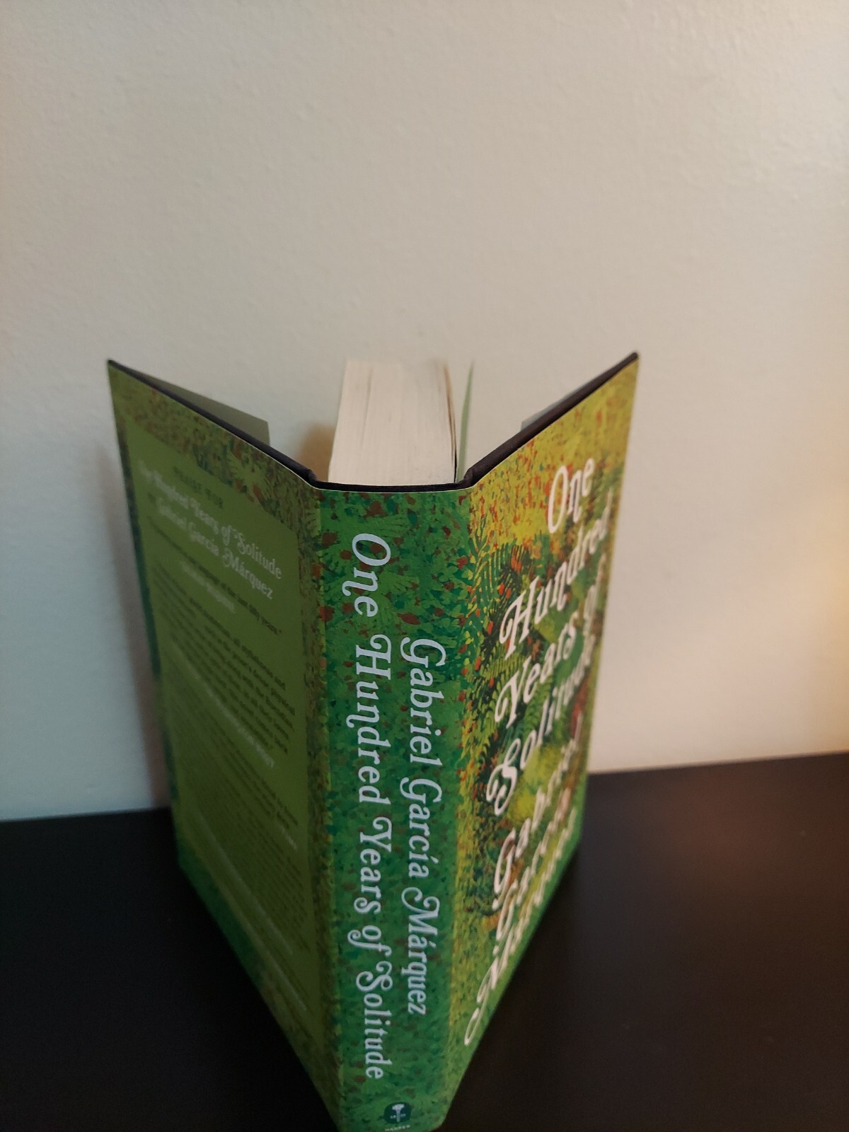One Hundred Years of Solitude Slipcased Edition by Gabriel García Márquez (2014,