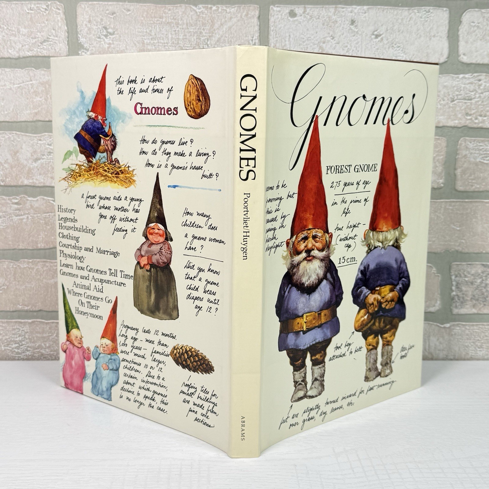 Gnomes Wil Huygen Rien Poortvliet 1977 Abrams Illustrated Fantasy Folklore HC DJ