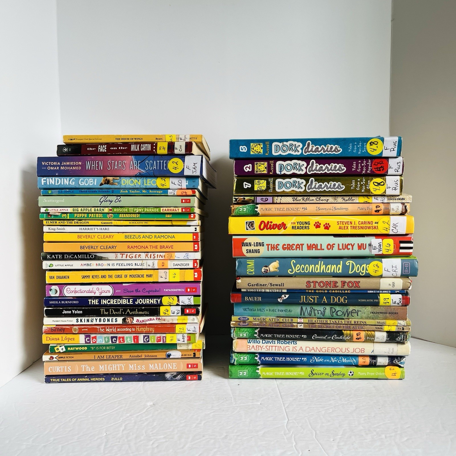 Lot of 10 Random 4th grade Children&rsquo;s Kids Chapter Book Some series Elementary