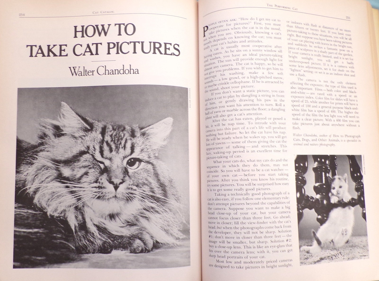 « Cat Catalog », The Ultimate Cat Book, Large « Very Good » 1st Ed. Book, 352 pages