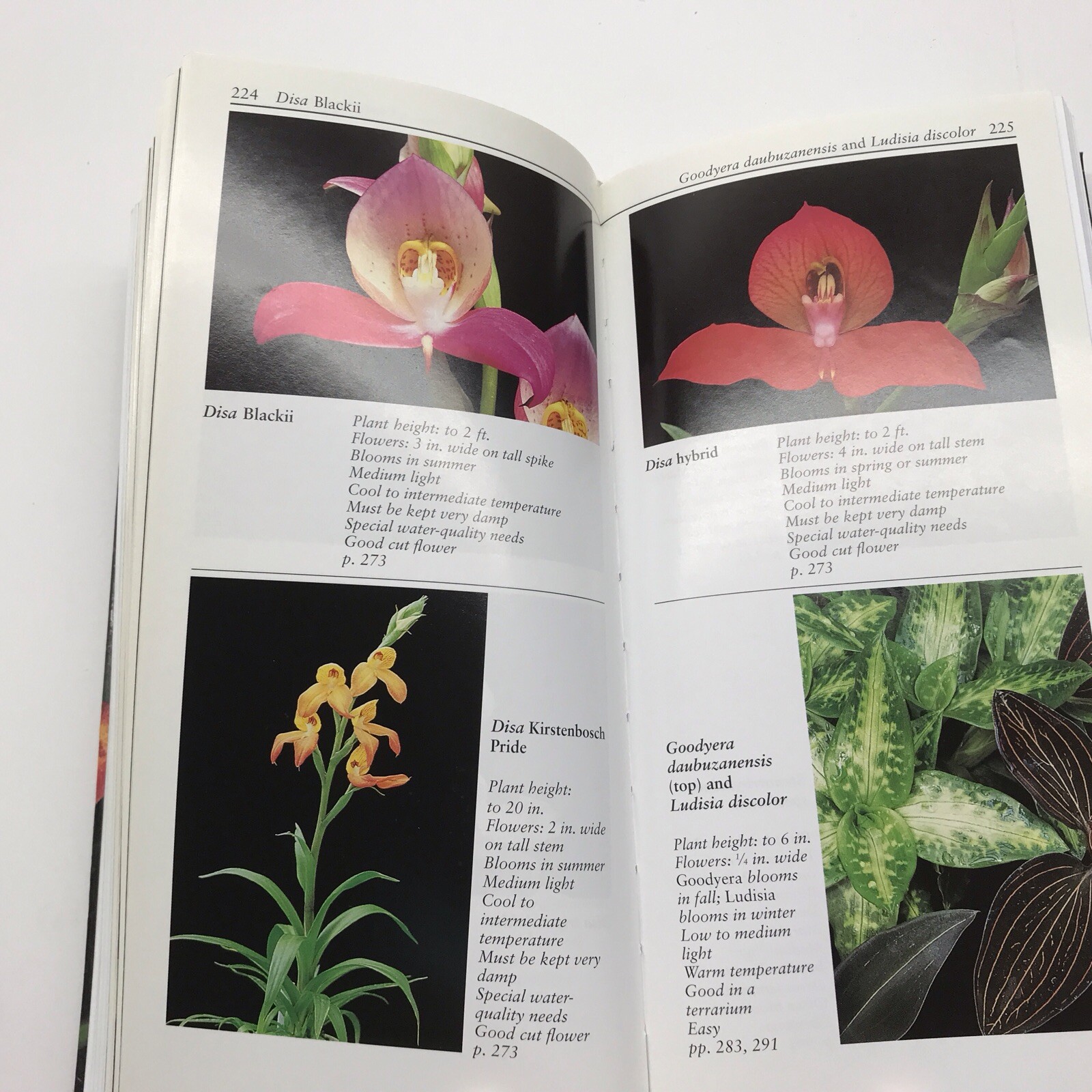 Taylor&rsquo;s Guide to Orchids~1996~Judy White~Ex Library