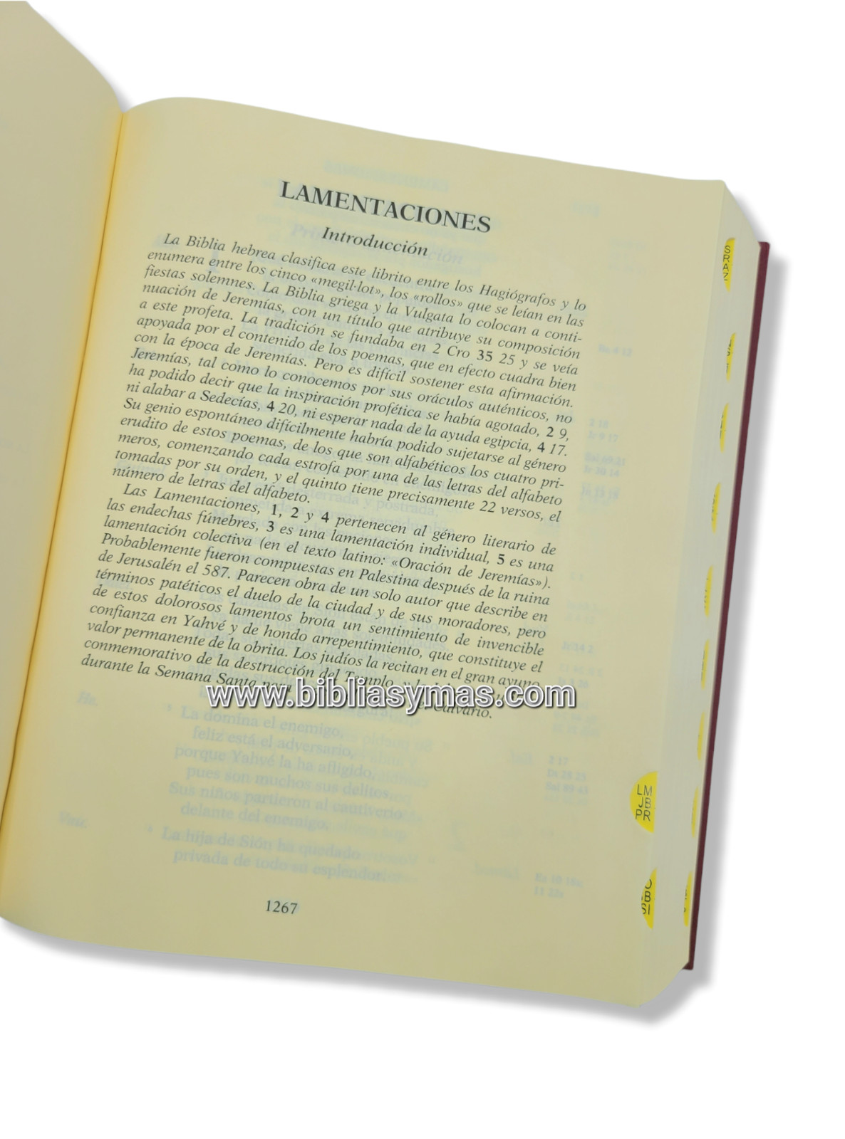 Biblia de Jerusalen Edicion Revisada y Ampliada letra grande Indices Catolica
