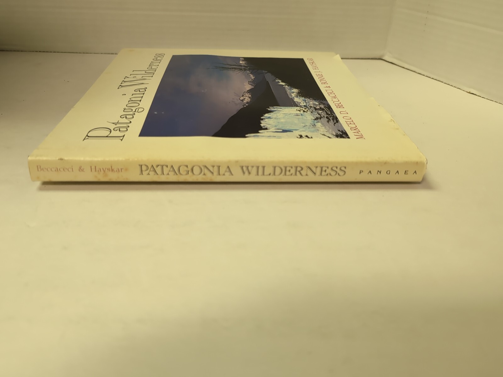 Patagonia Wilderness by Beccaceci 1991 Hardcover First Edition w/ DJ Photography