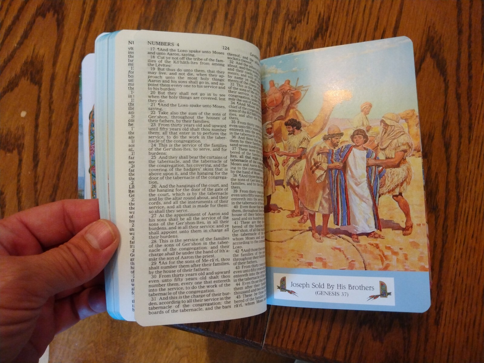 Children&rsquo;s Bible KJV Seaside Bible Illustrated Nelson Hardcover blue edge