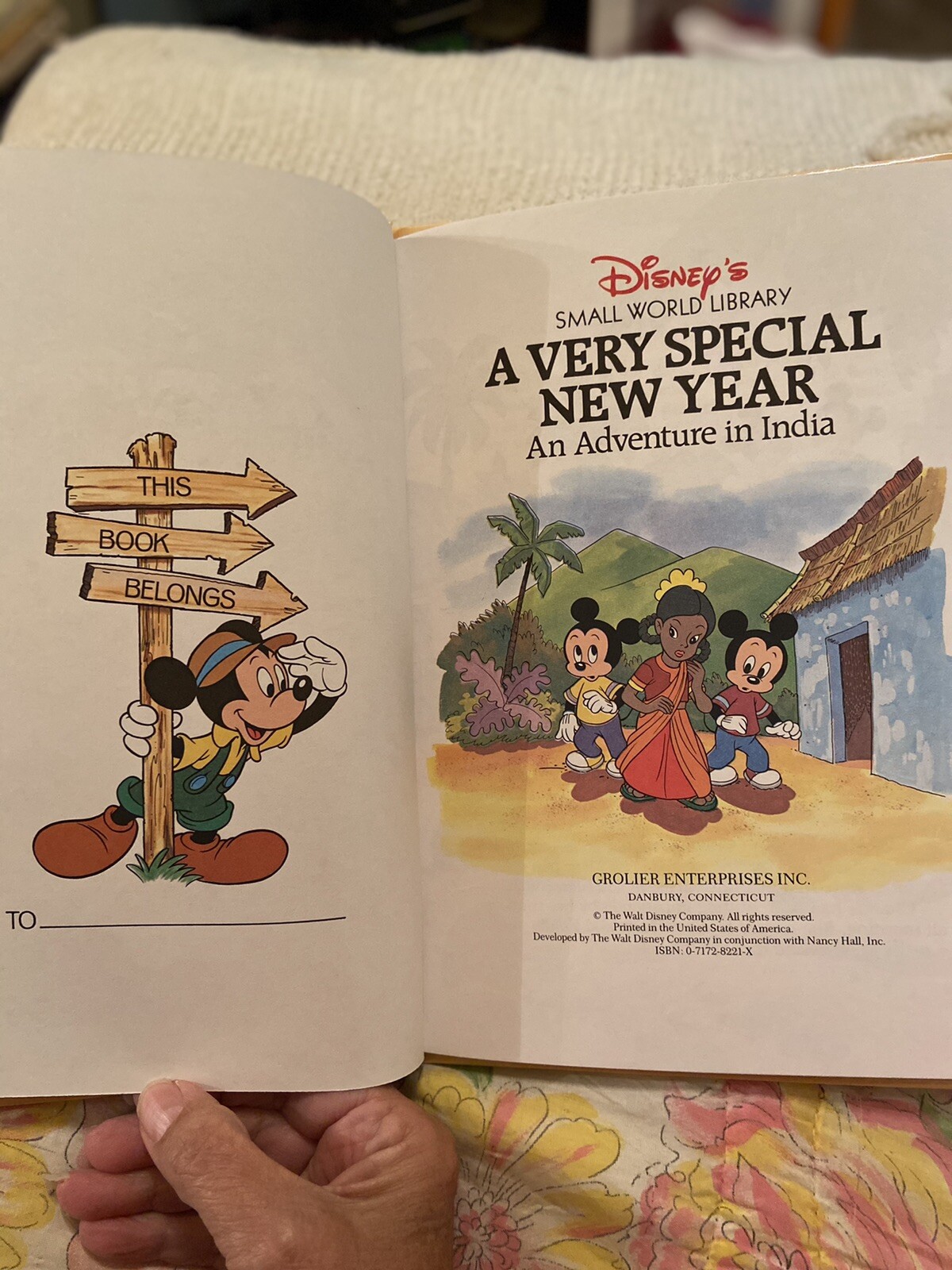 A VERY SPECIAL NEW YEAR: AN ADVENTURE IN INDIA, DISNEY&rsquo;S SMALL WORLD LIBRARY