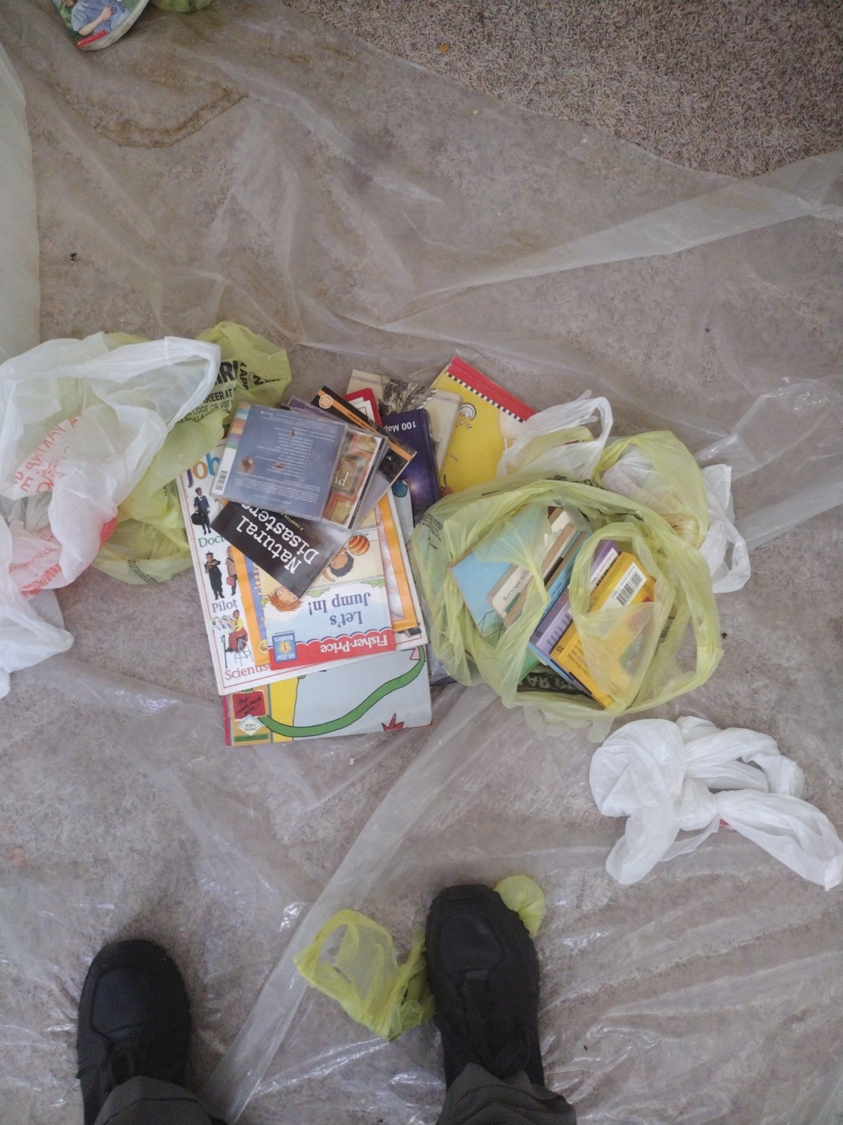 Bulk/Huge Lot of 50 Children&rsquo;s Kids Chapter Books – Random – Free Shipping!
