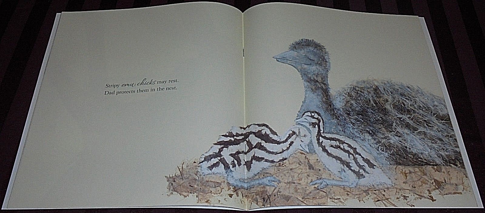 OUTBACK LULLABY (SALLY ODGERS / LISA STEWART) -24cm X 25cm- LARGE BOOK BRAND NEW