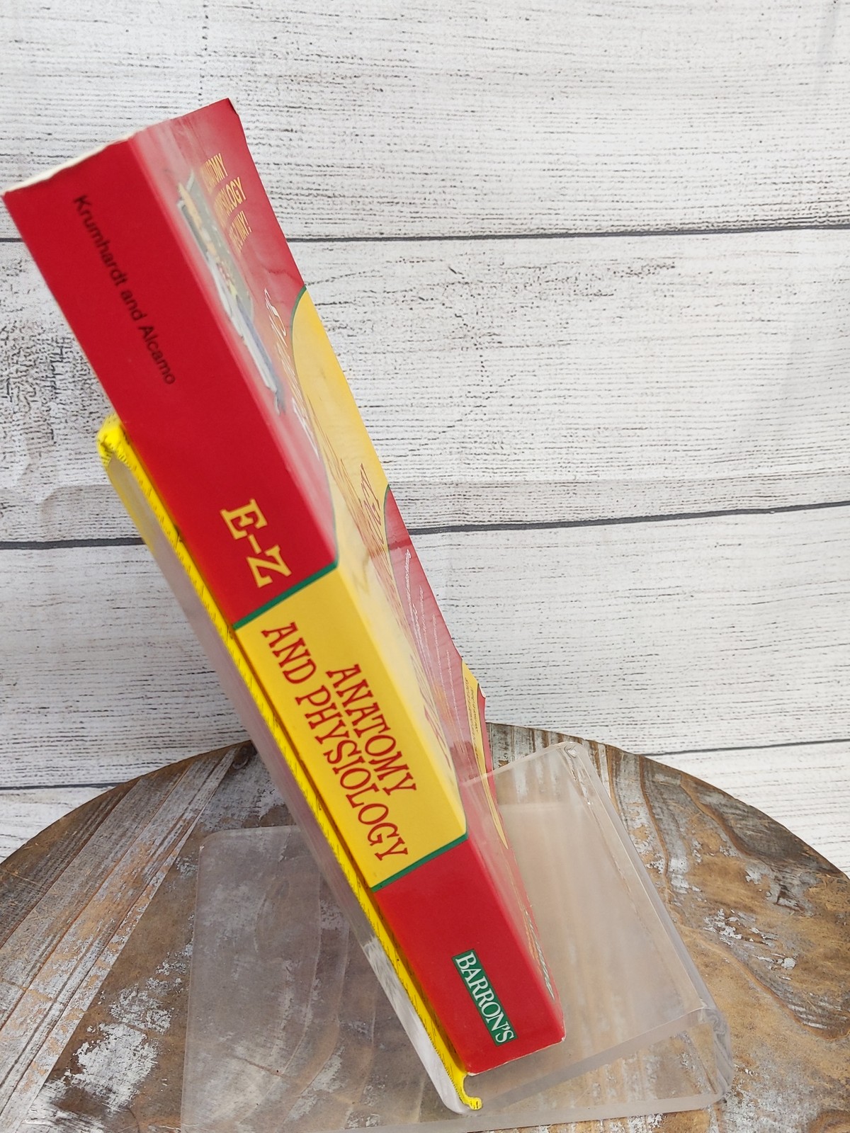 E-Z Anatomy and Physiology (Barron&rsquo;s Easy Way) Paperback Book