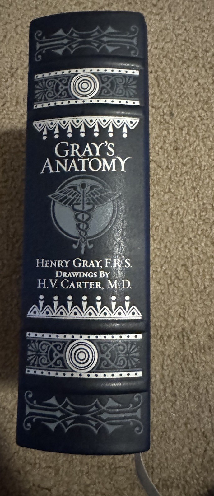 Gray&rsquo;s Anatomy Blue Leather Bound Hardcover Book by Henry Gray H.V. Carter