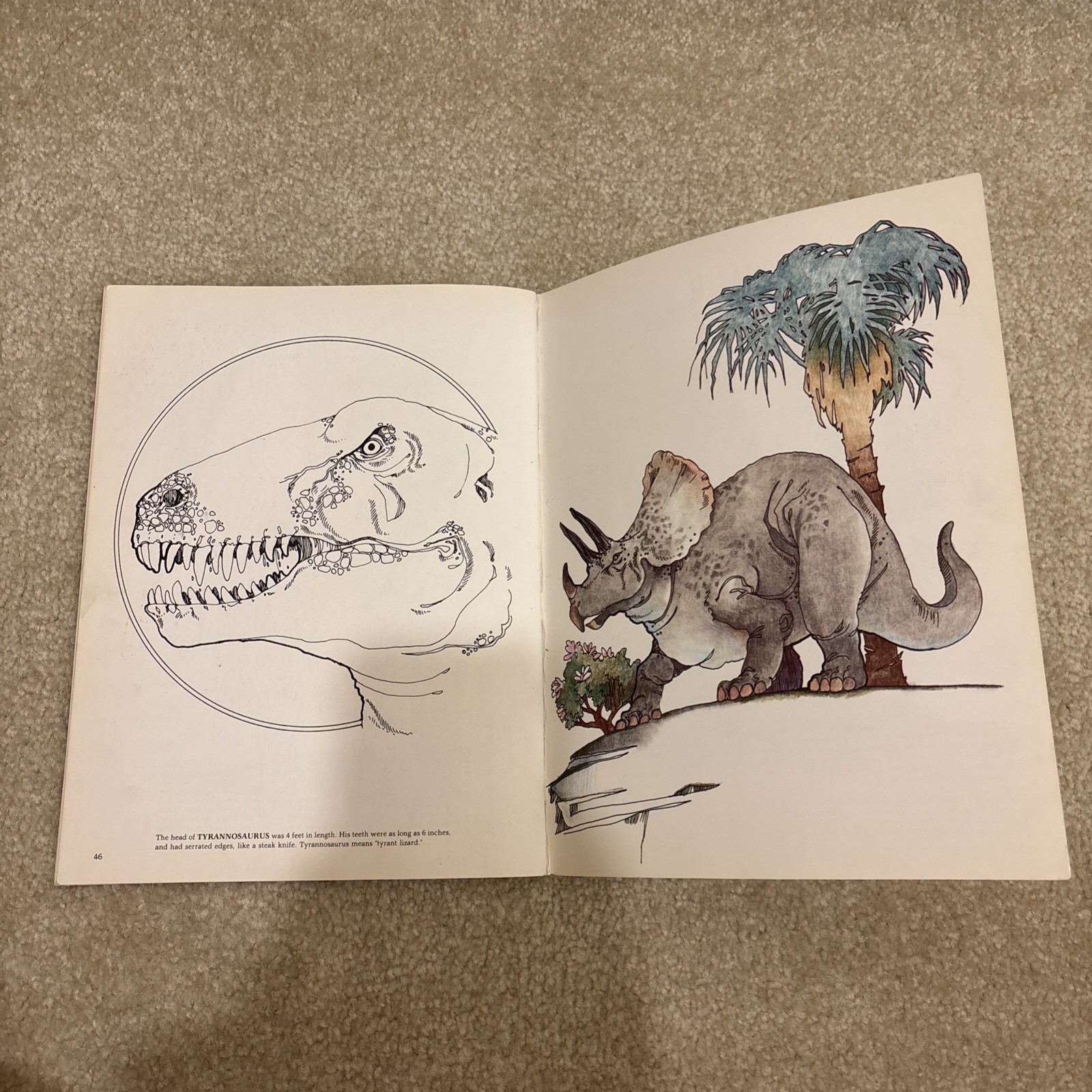 The Dinosaur Dover Coloring Book Paperback Anthony Rao Vintage 1980