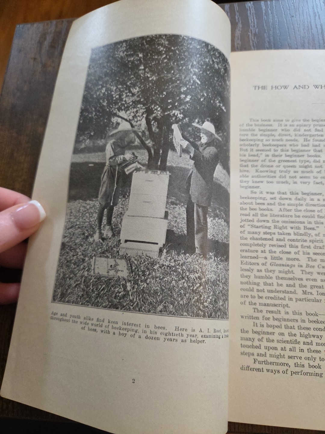 Rare 1922 First Edition « Starting Right with Bees »