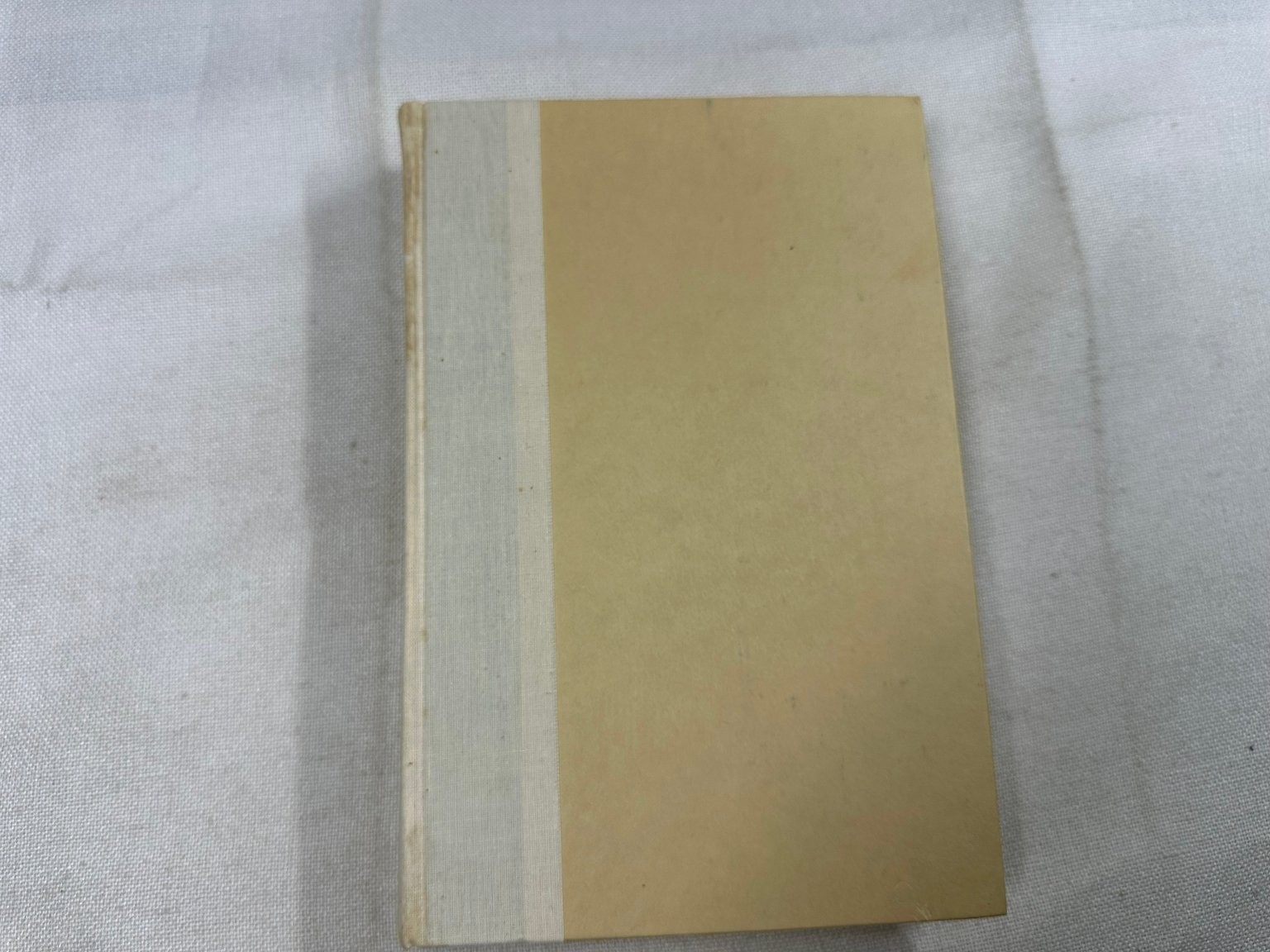 Angel of Light Joyce Carol Oates 1982 First Edition Novel E. P. Dutton