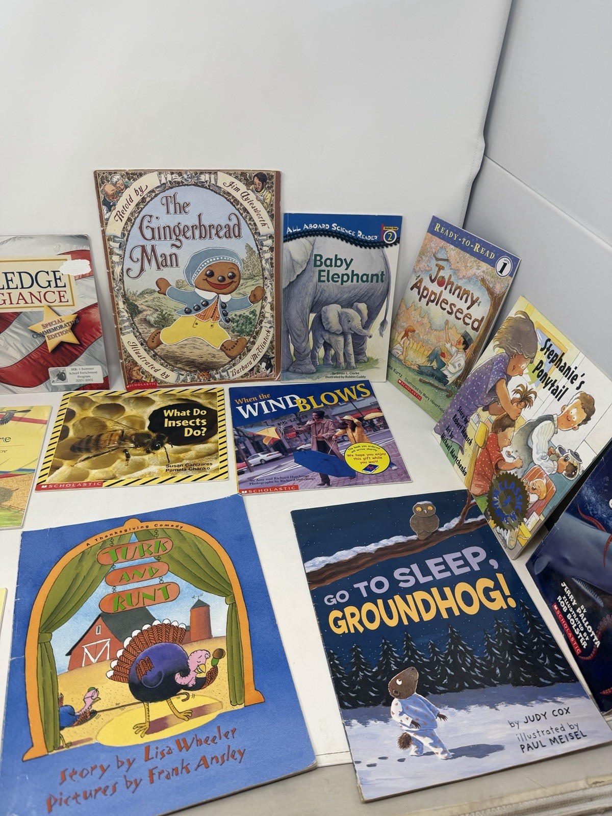 Children&rsquo;s Scholastic Picture Books Kids Paperback Storybook Storytime Lot of 12