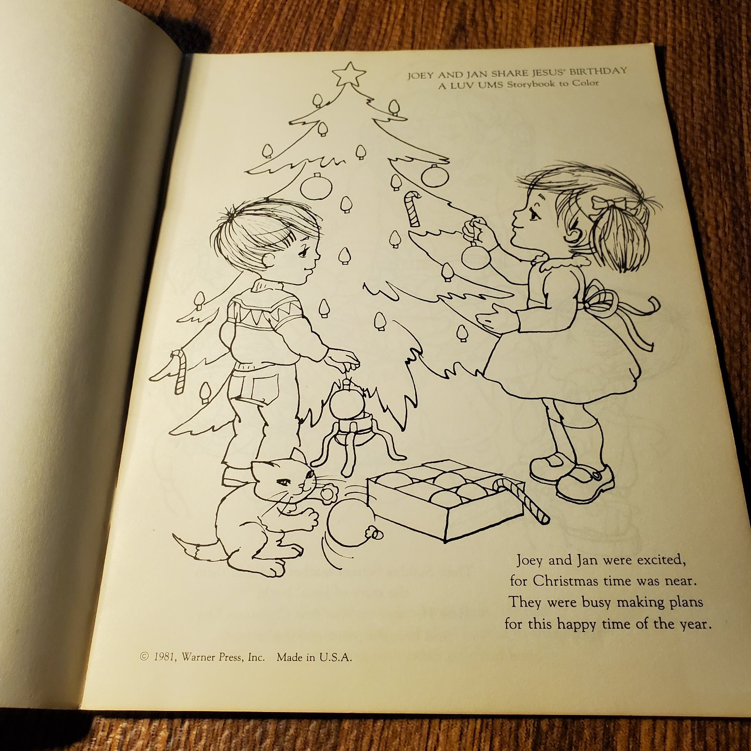 Joey and Jan Share Jesus&rsquo; Birthday Luv Ums 1980 Warner Press Storybook