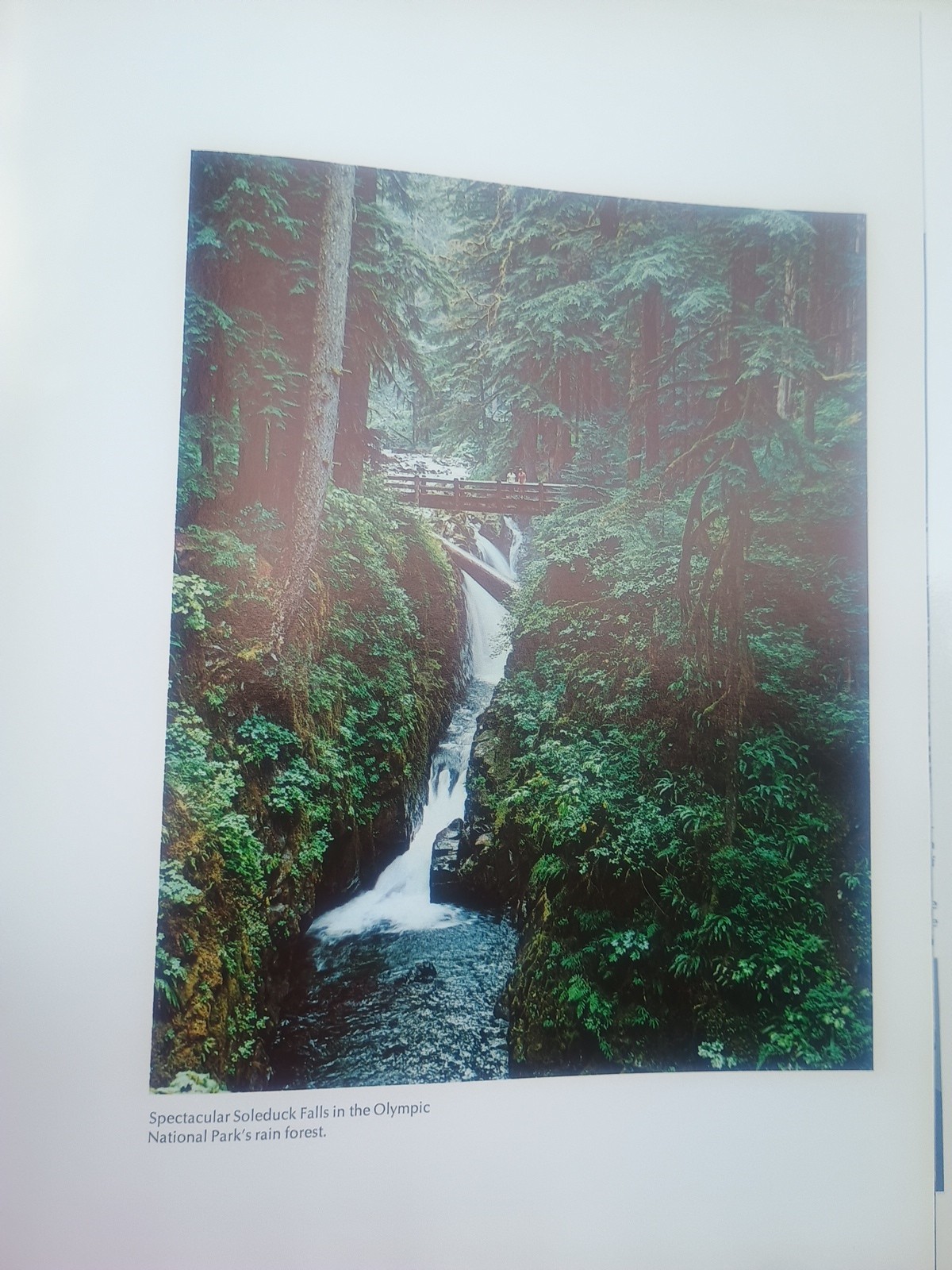 Washington II Photography By Ray Atkeson – Large Format 1973 Hardcover/DJ