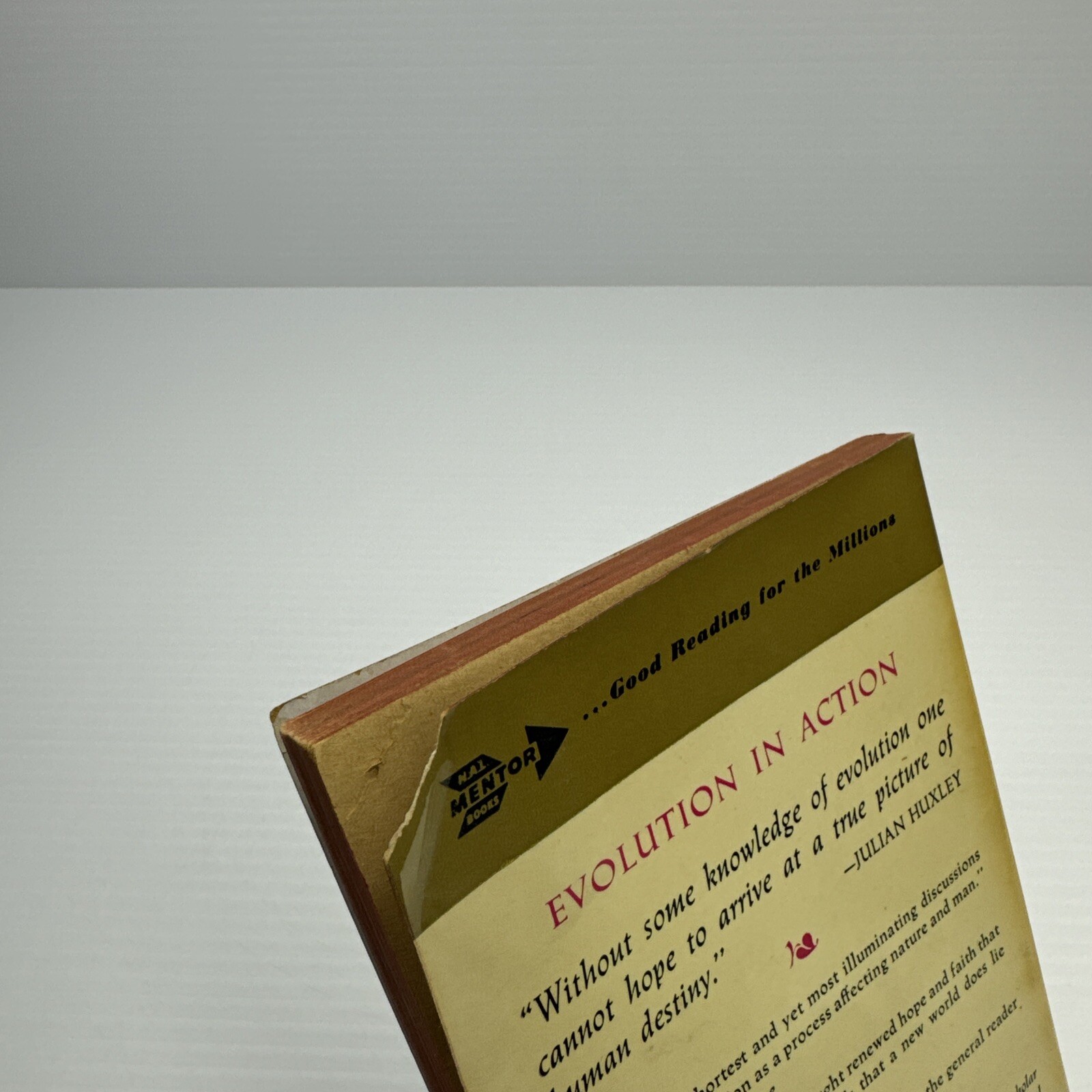 Evolution in Action Julian Huxley Paperback 1957 Mentor Book Man&rsquo;s Possibilities