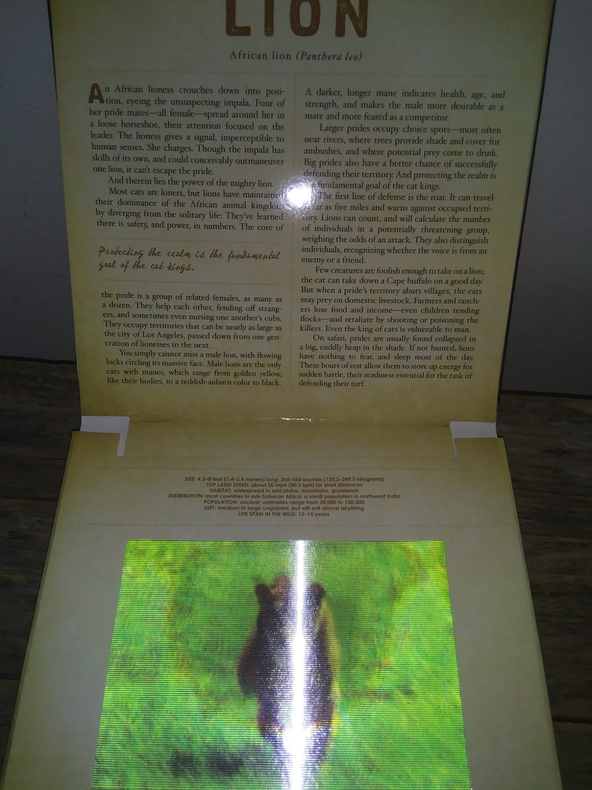 Safari: A Photicular Book – 3D Moving Pics of African Animals Educational Guide