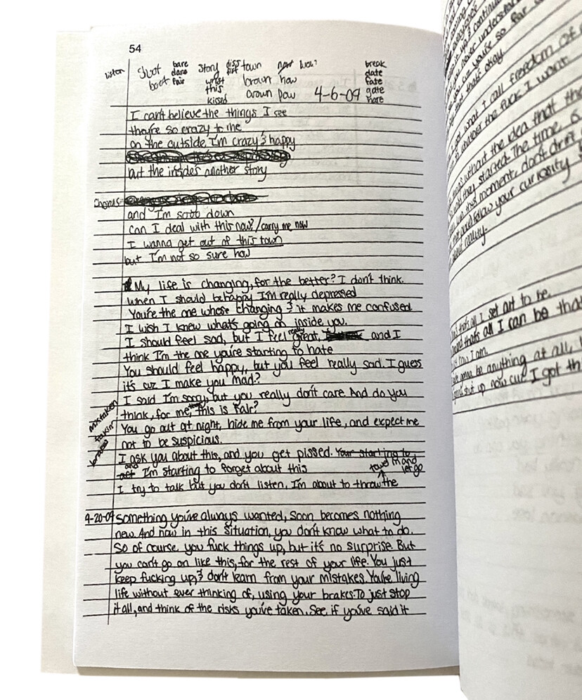 2008-2009 Used Handwritten Diary Dina Lilys Journal print copy vintage 103 pages