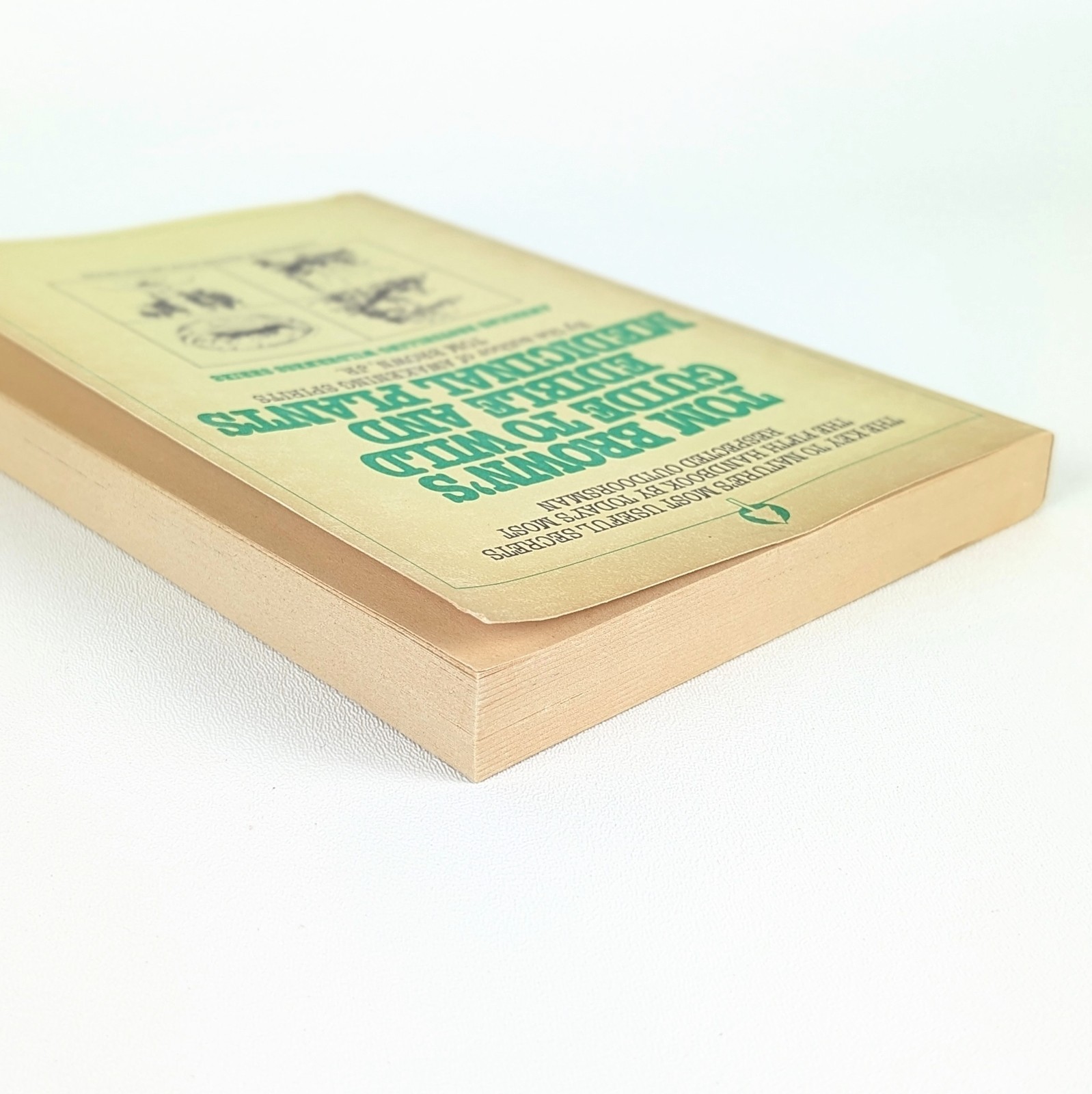 TOM BROWN&rsquo;S GUIDE TO WILD EDIBLE AND MEDICINAL PLANTS by Tom Brown Jr. – 1985 PB