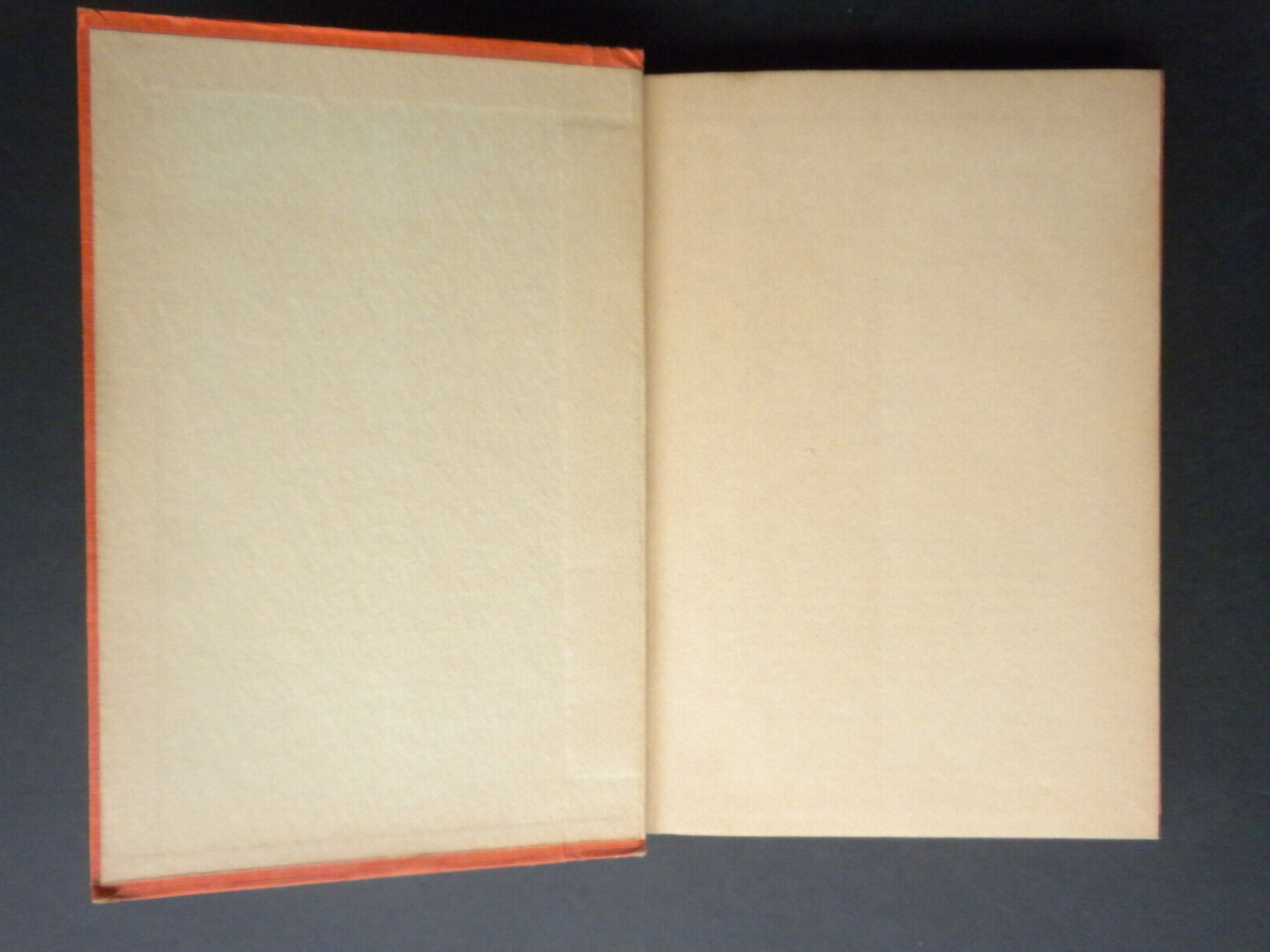 FIVE LITTLE MARTINS Caroline Van Buren 1936 Children&rsquo;s adventure novel 244 pages