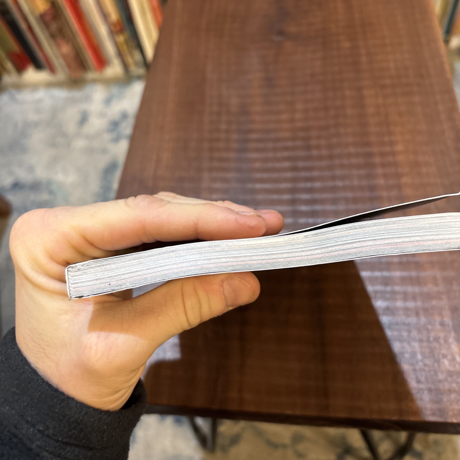 HollowPress : Vermis I – Lost Dungeons And Forbidden Woods Paperback