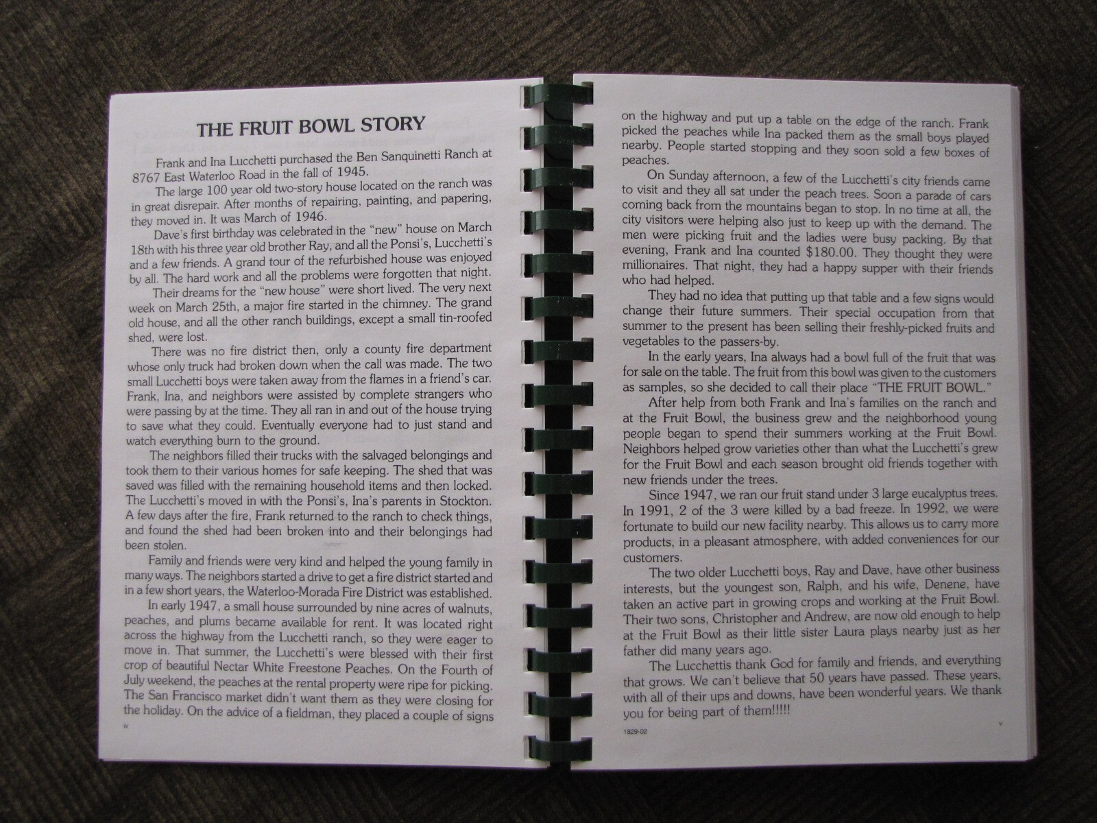FAVORITE RECIPES Variety Pack by Ina Lucchetti 244+ pages from « THE FRUIT BOWL »