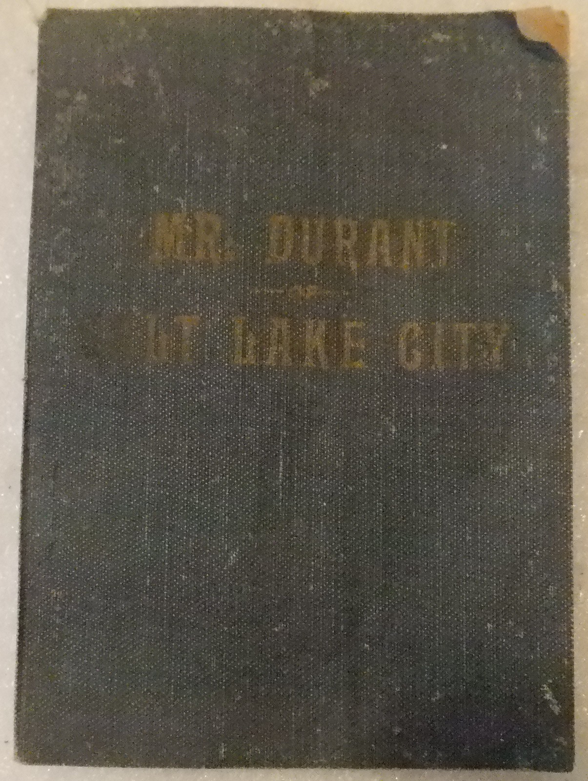 Mr. Durant of Salt Lake City: « That Mormon »./ FAIR 1905 Softcover. 221 pages.