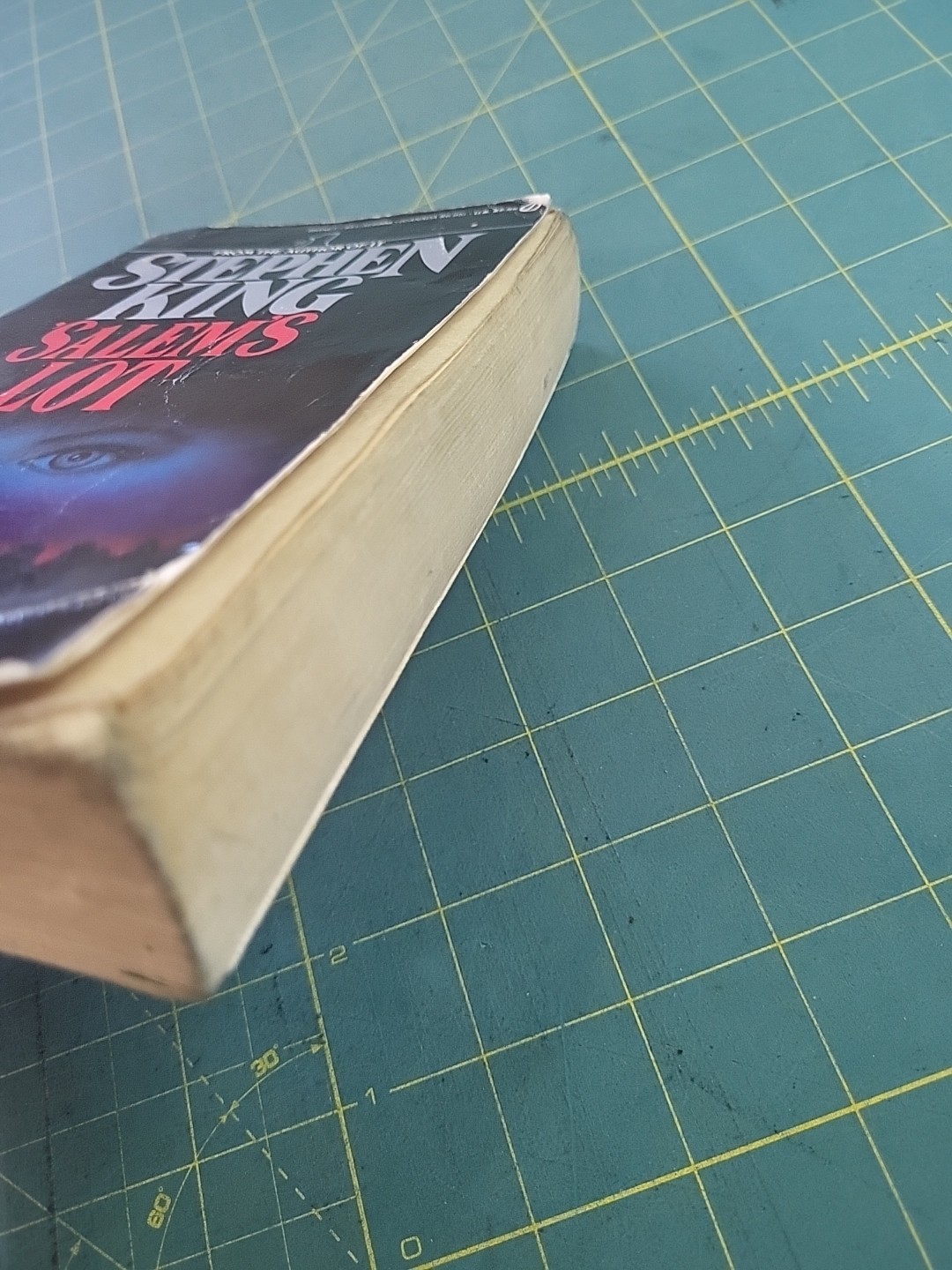 Stephen King &lsquo;SALEM&rsquo;S LOT – Signet Paperback – 1976 Horror Vintage Vampires