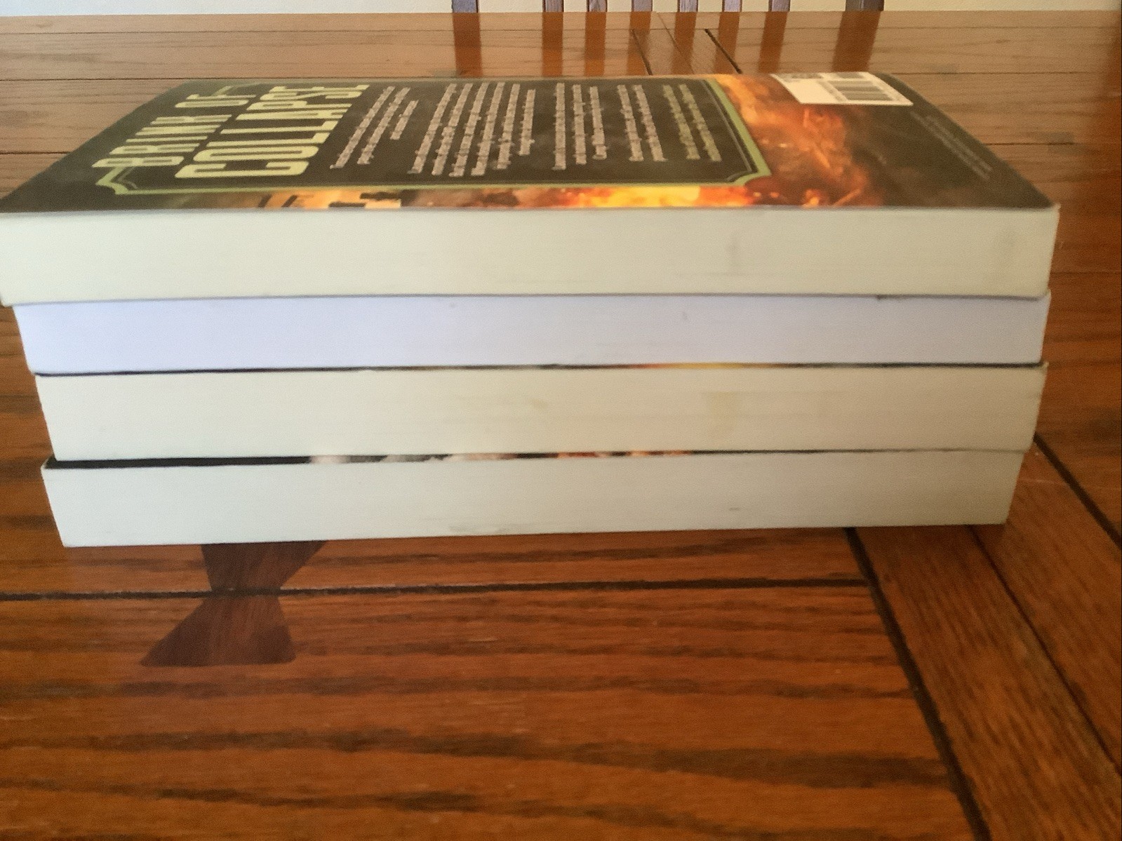 Days of Want Series 4 Book Lot T.L. Payne Paperback Survive Collapse Houston