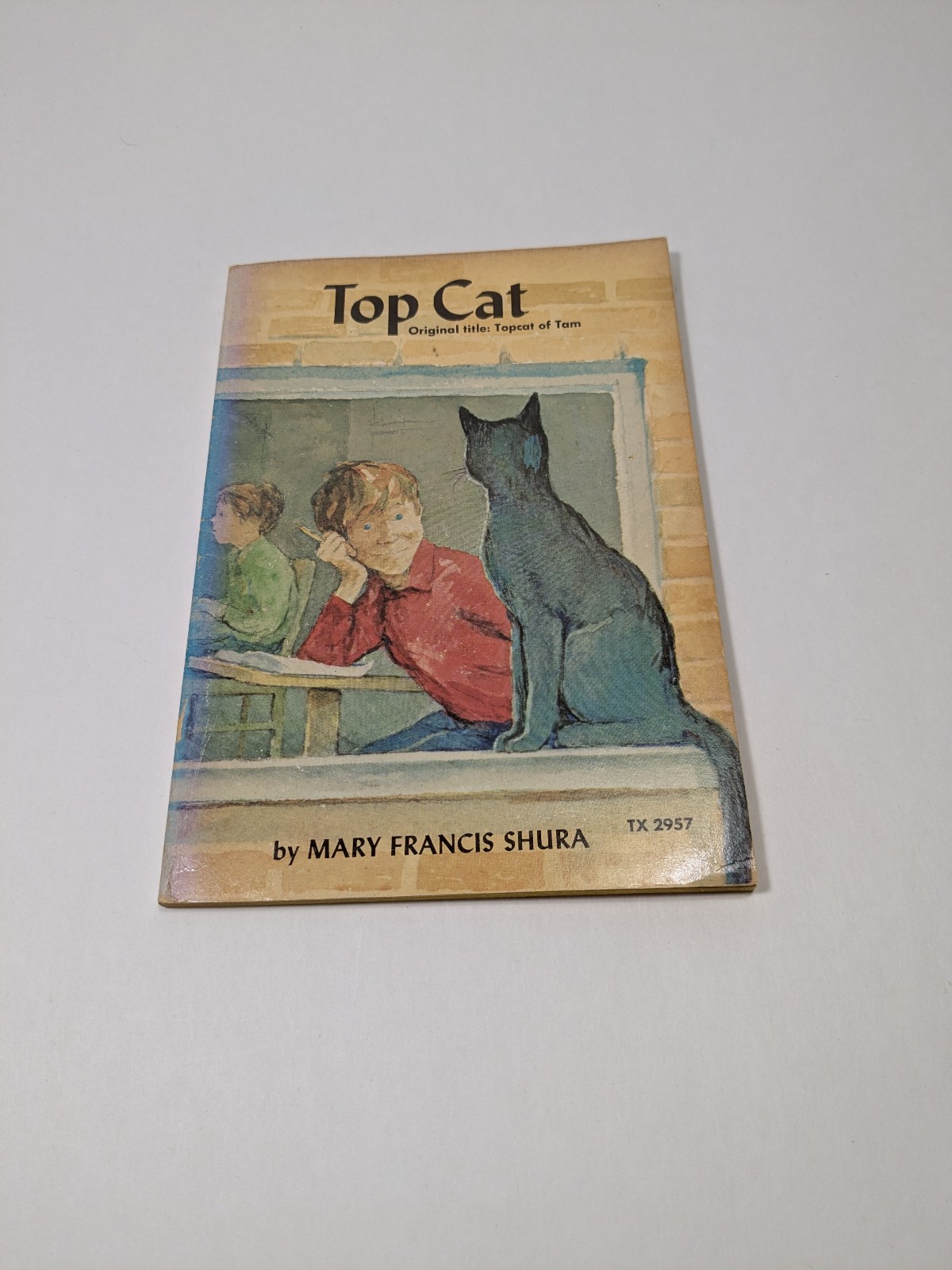 Top Cat by Mary Francis Shura Vintage Paperback Book Children&rsquo;s Illustrated