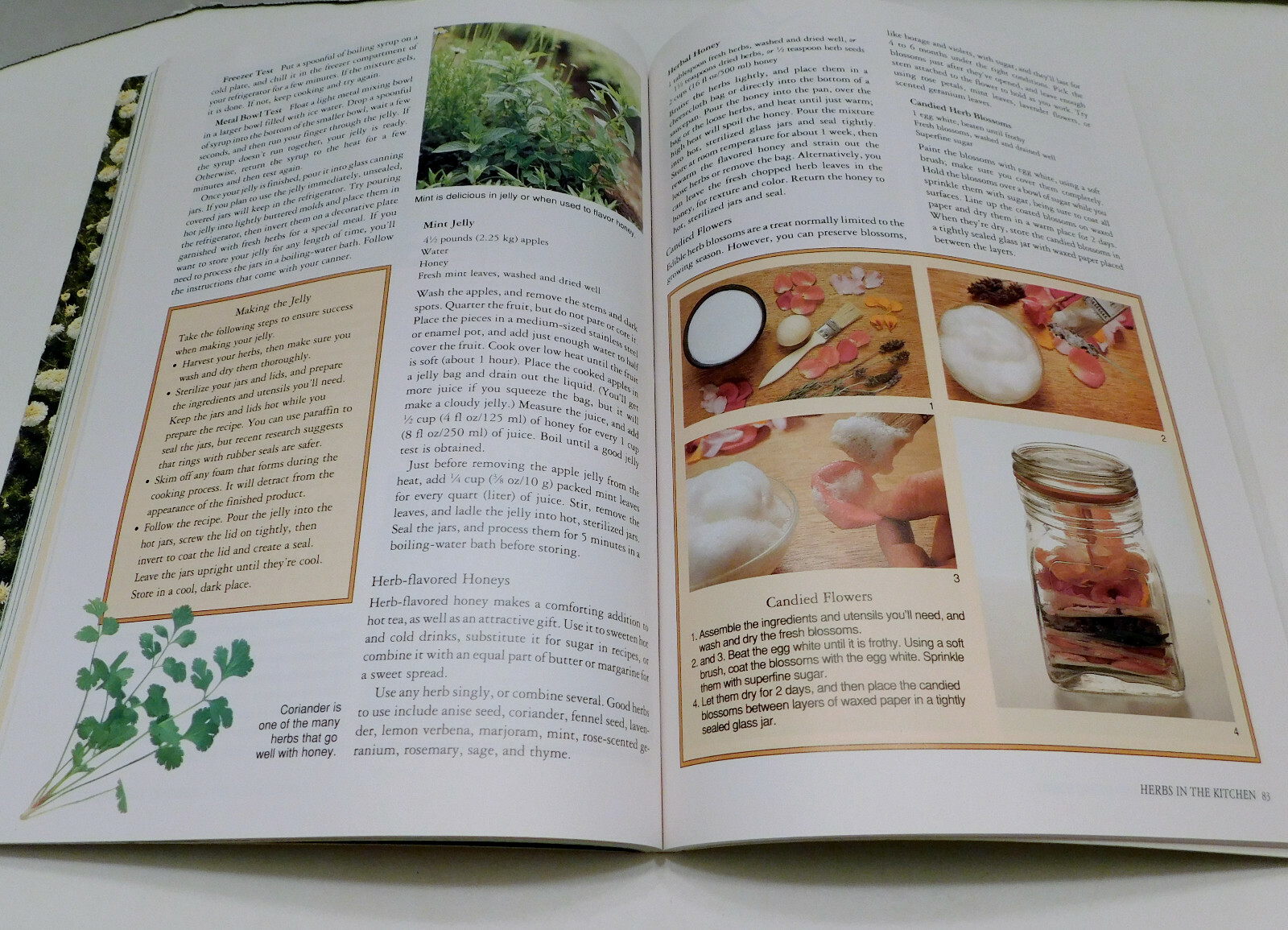 Rodale&rsquo;s Successful Organic Gardening: Herbs 300 color photos 50 illustratration