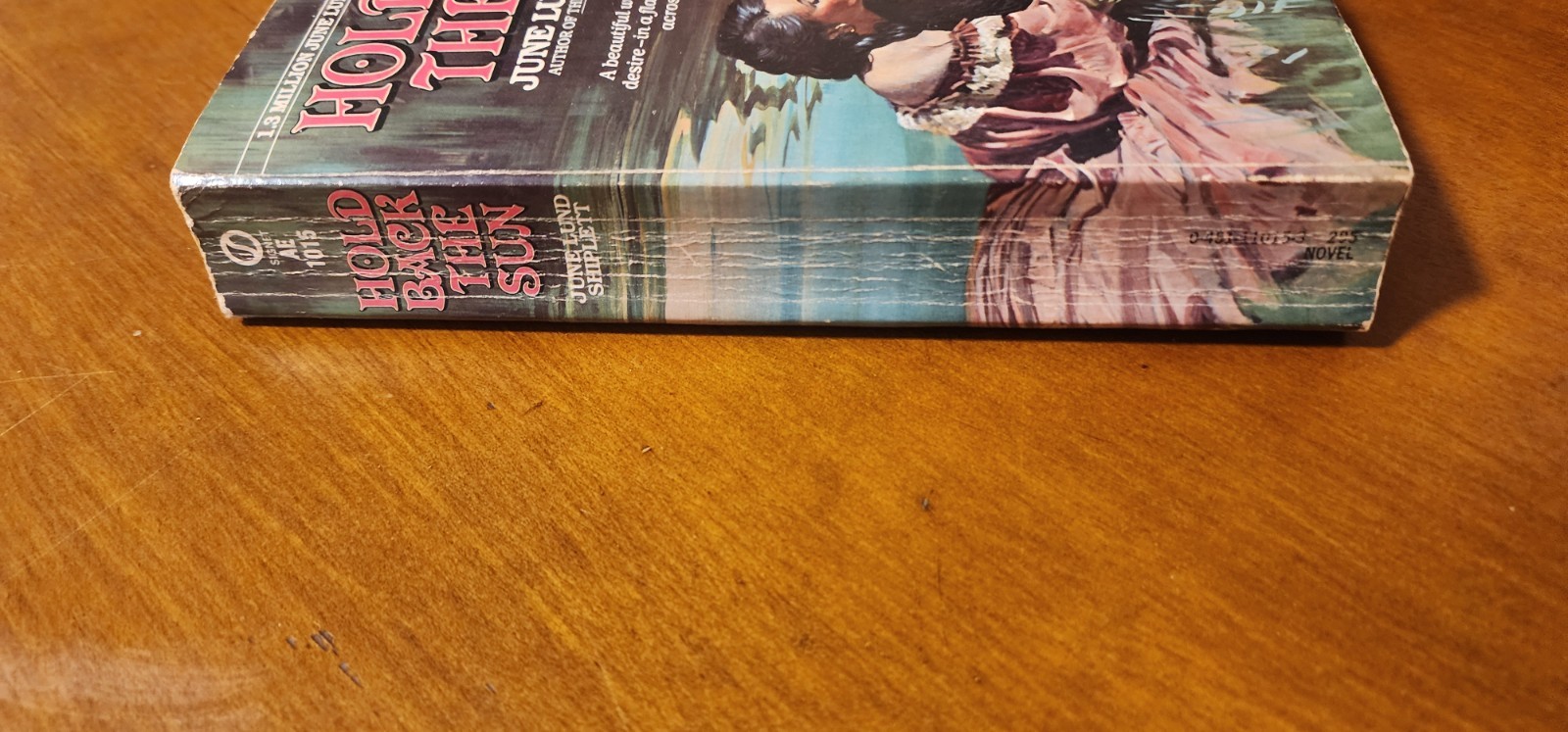 HOLD BACK THE SUN by June Lund Shiplett Signet Book 1st Printing 1981 Paperback