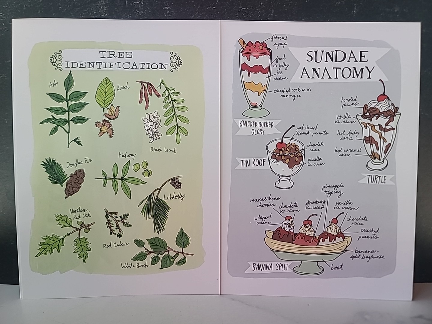 Julia Rothman Collection : Farm Anatomy, Nature Anatomy, and Food Anatomy by…